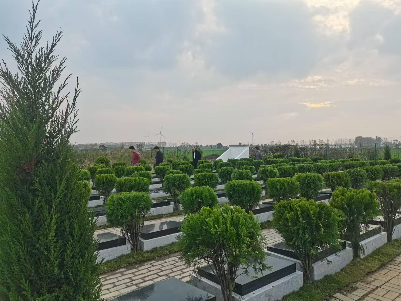 庙岔镇公益性公墓园区图片