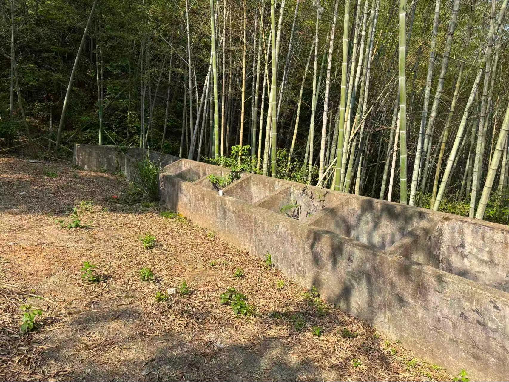 汤口镇农村公益性公墓园区图片