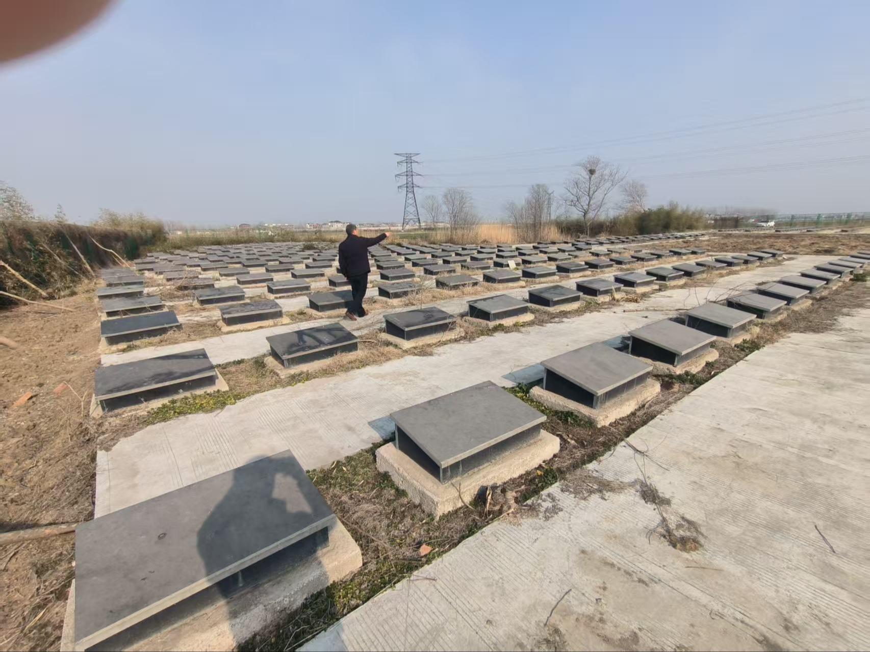 建颍乡公益性公墓园区图片