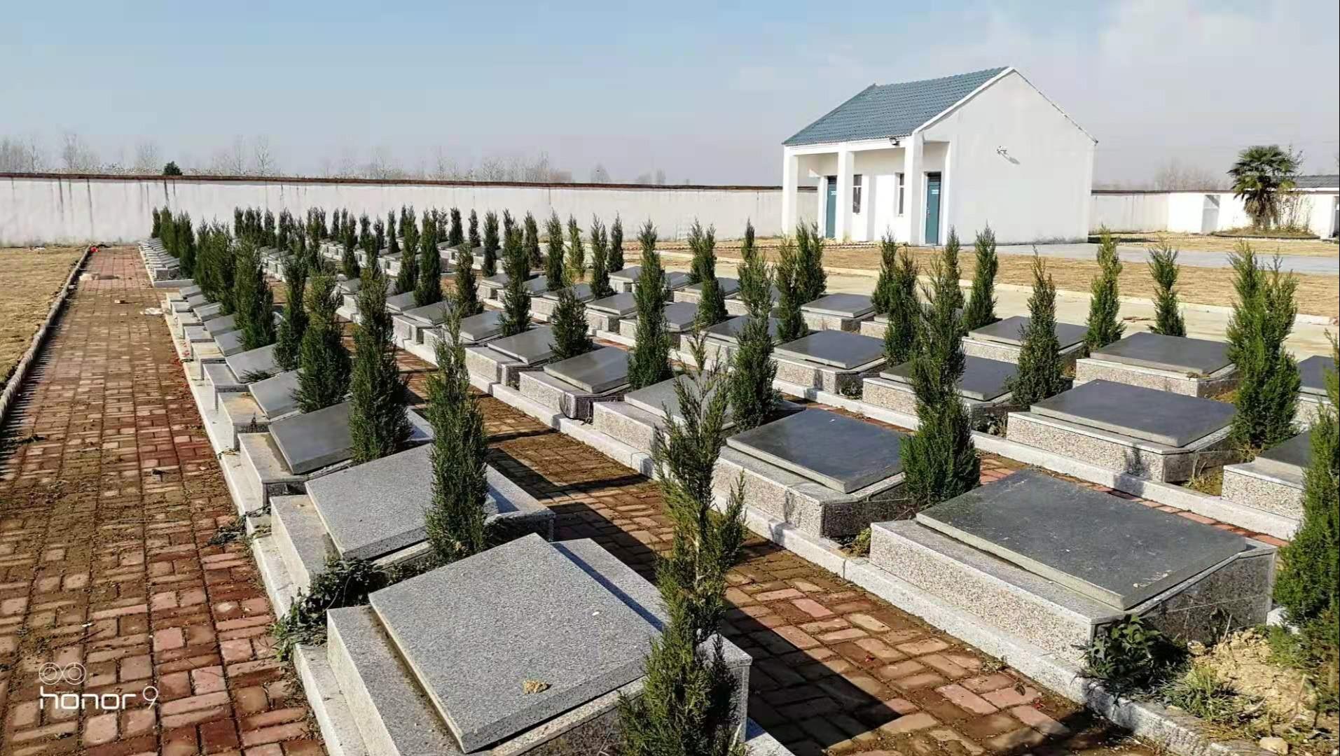 严桥乡公益性公墓园区图片