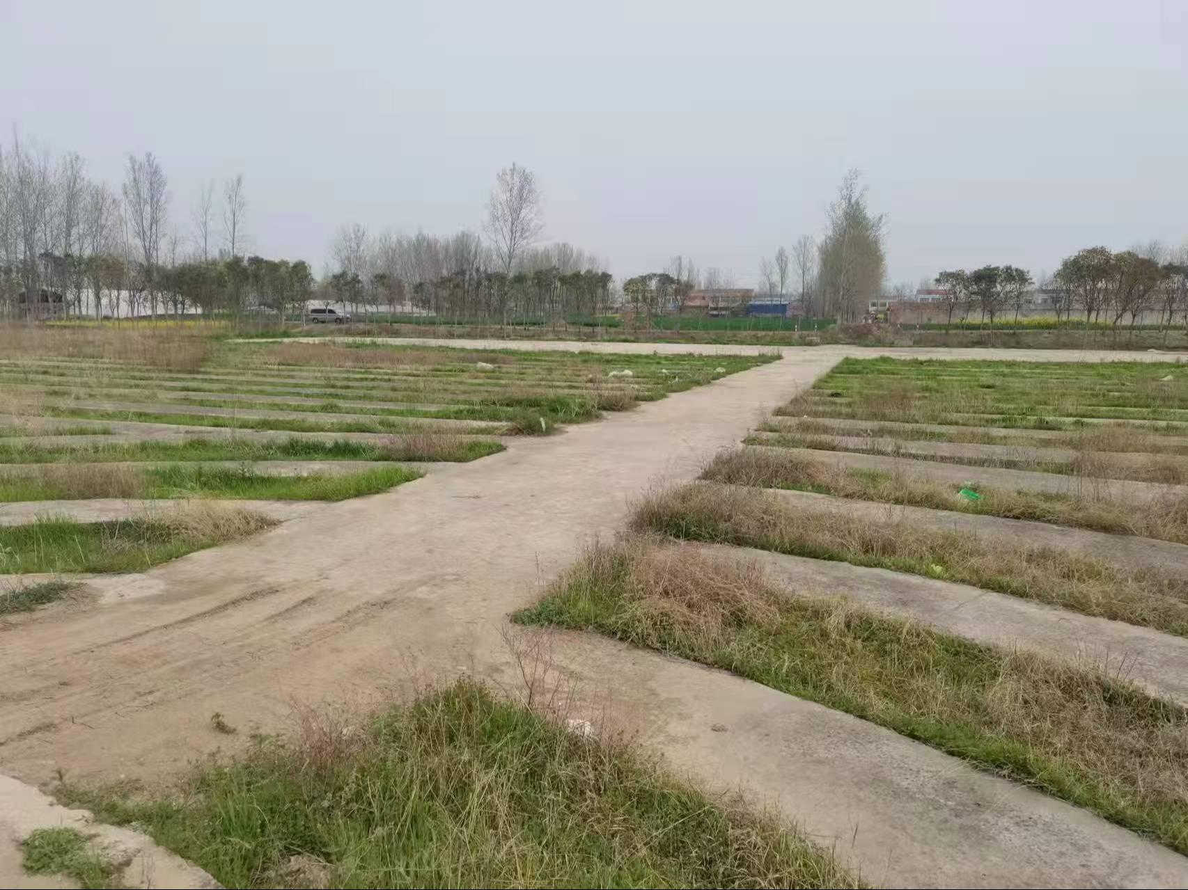 道口村张楼公墓