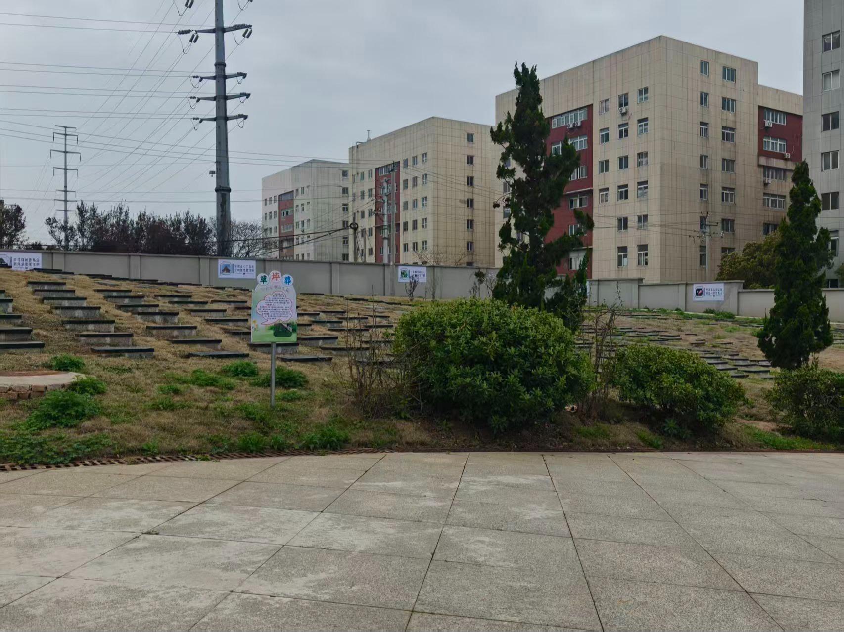 芜湖市湾沚区城市公益性公墓园区图片