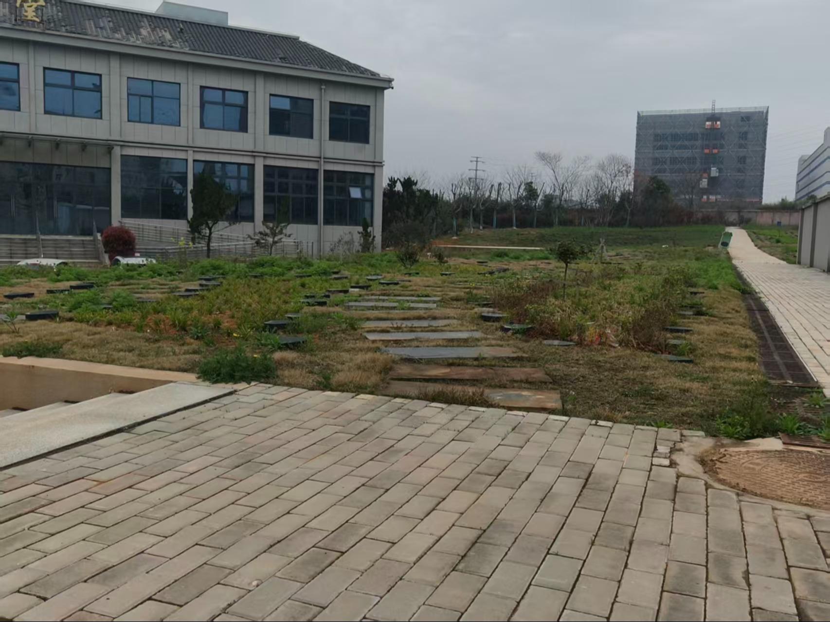 芜湖市湾沚区城市公益性公墓园区图片