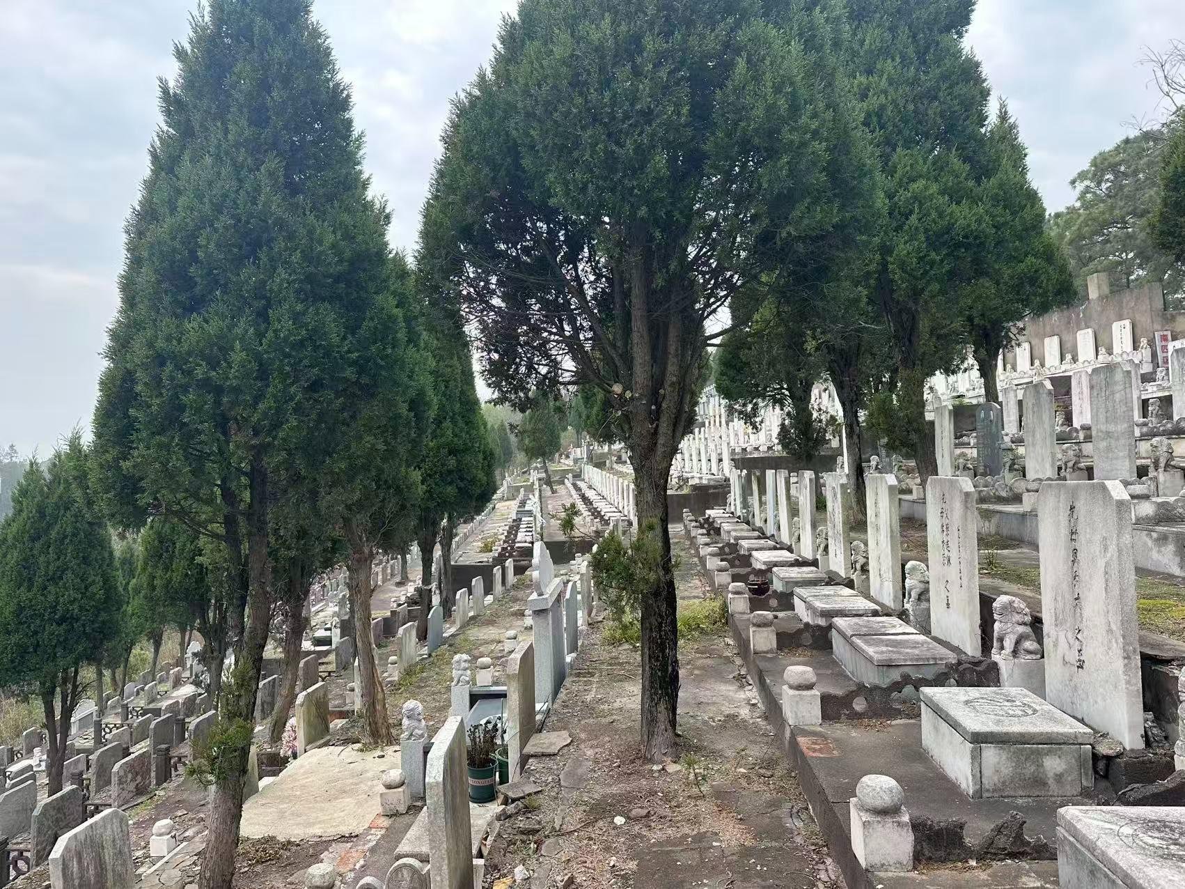 九连山公墓园区图片
