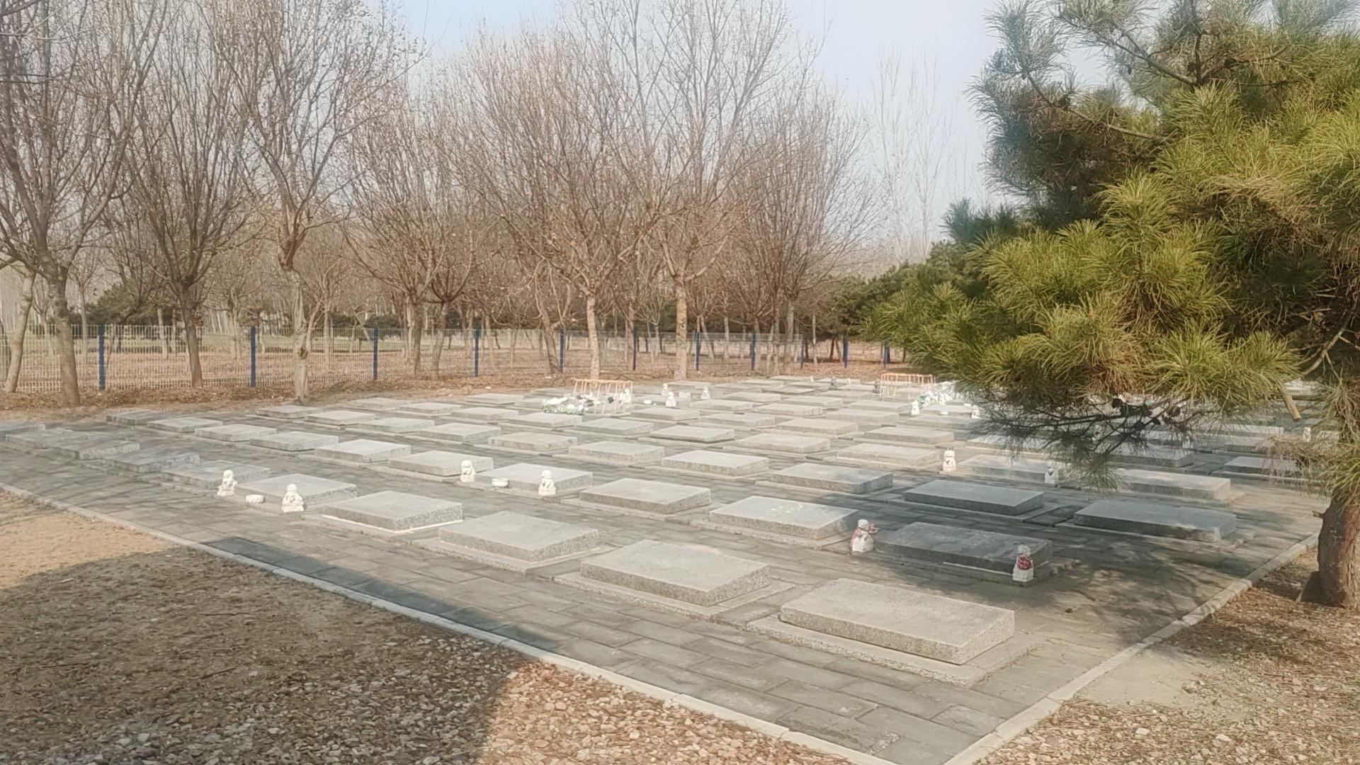 北京市顺义区木林镇前王各庄村公益性公墓园区图片