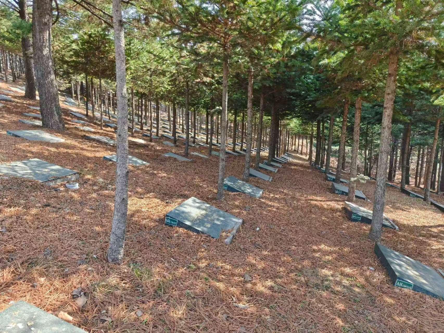 丹东市林苑公益性公墓管理所园区图片