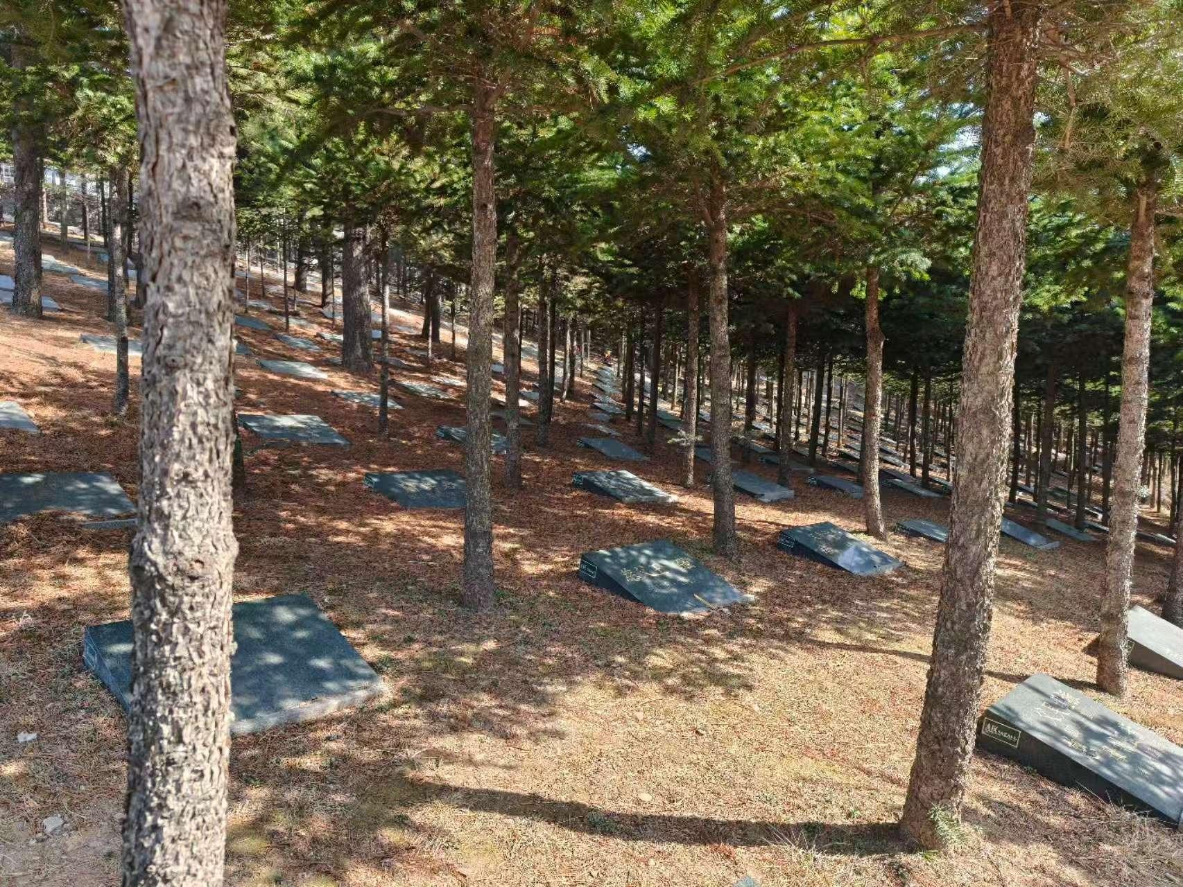 丹东市林苑公益性公墓管理所园区图片