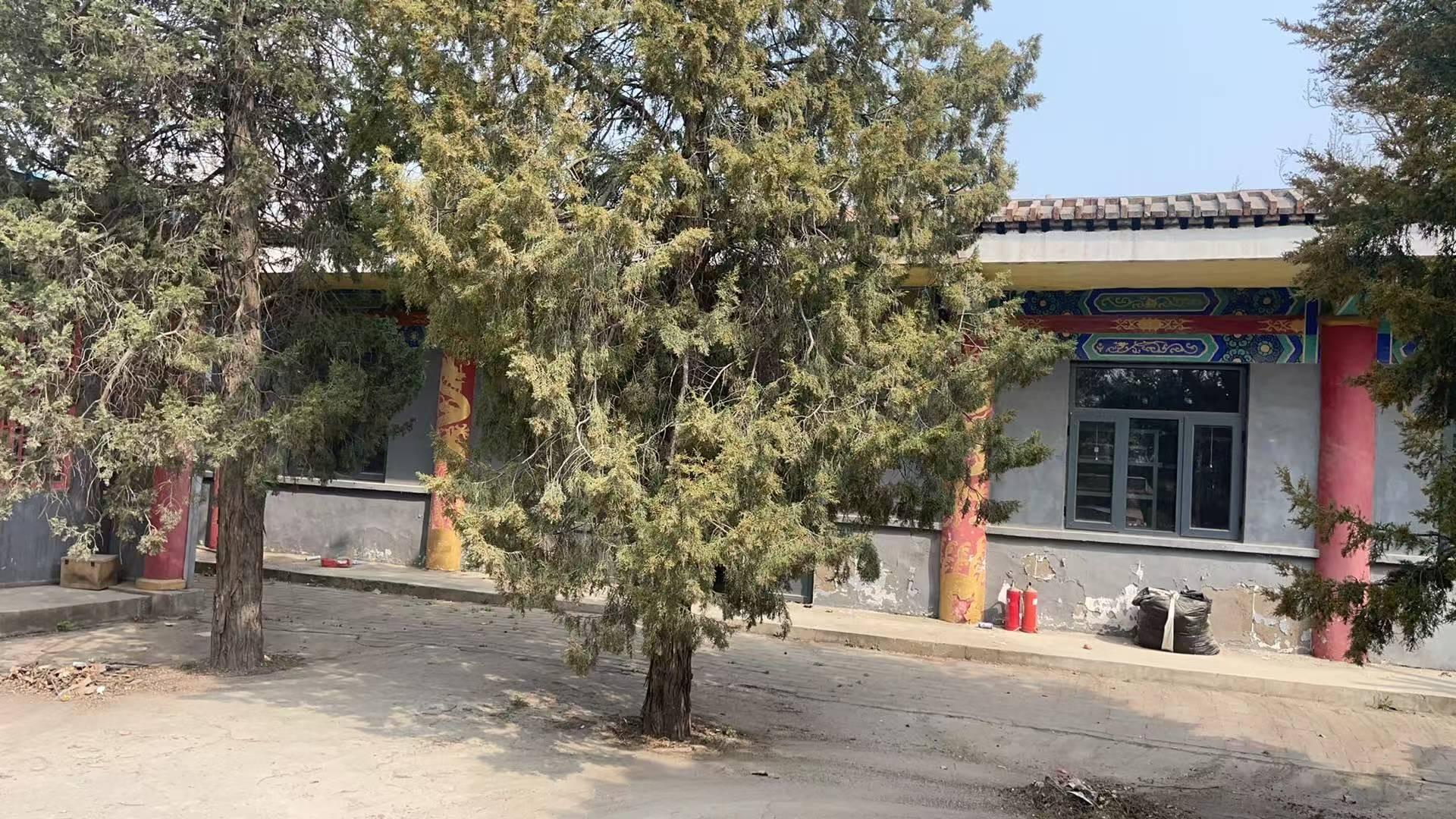 梨园头村骨灰堂园区图片
