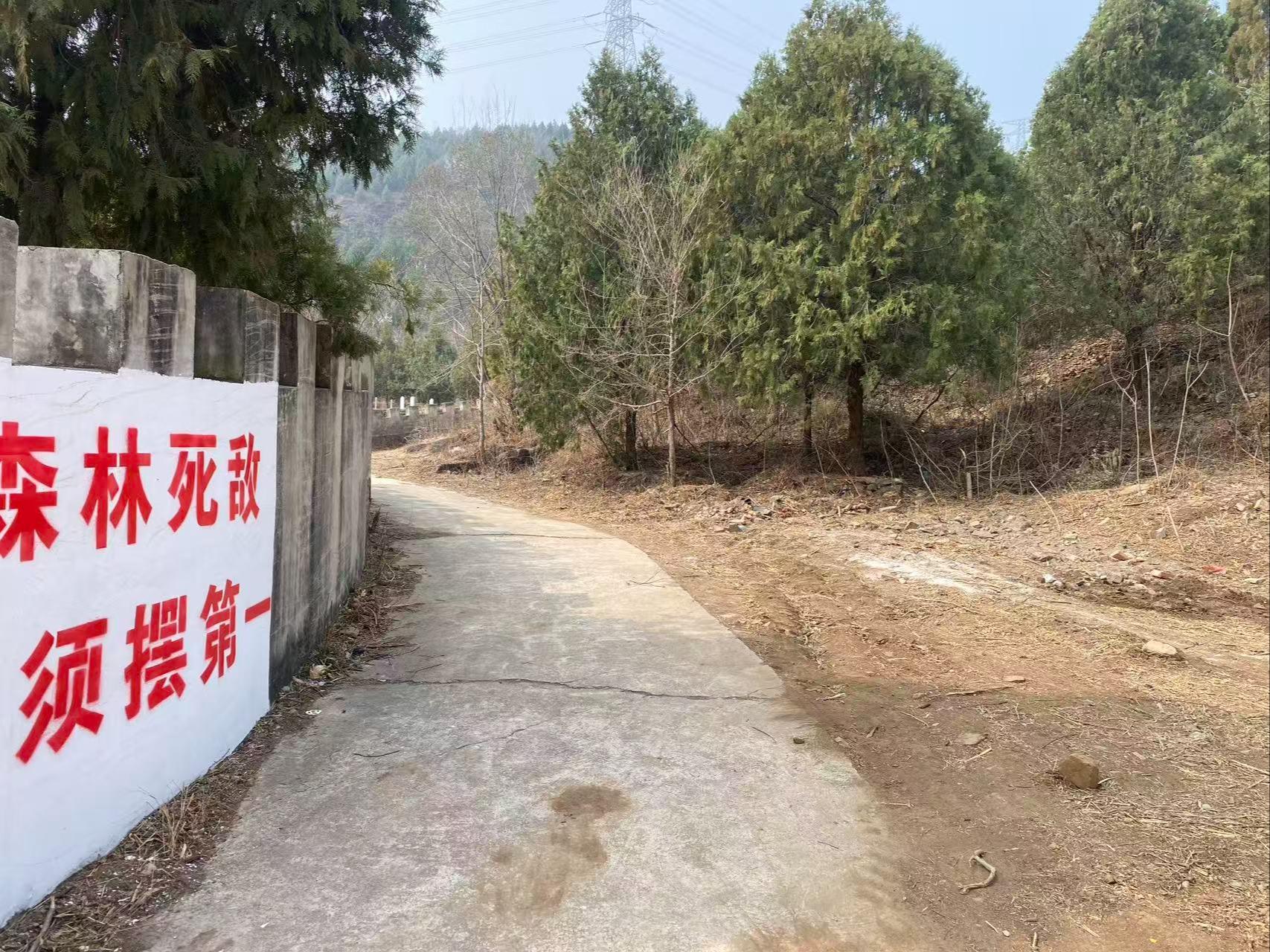 东古村小归山公益性公墓园区图片