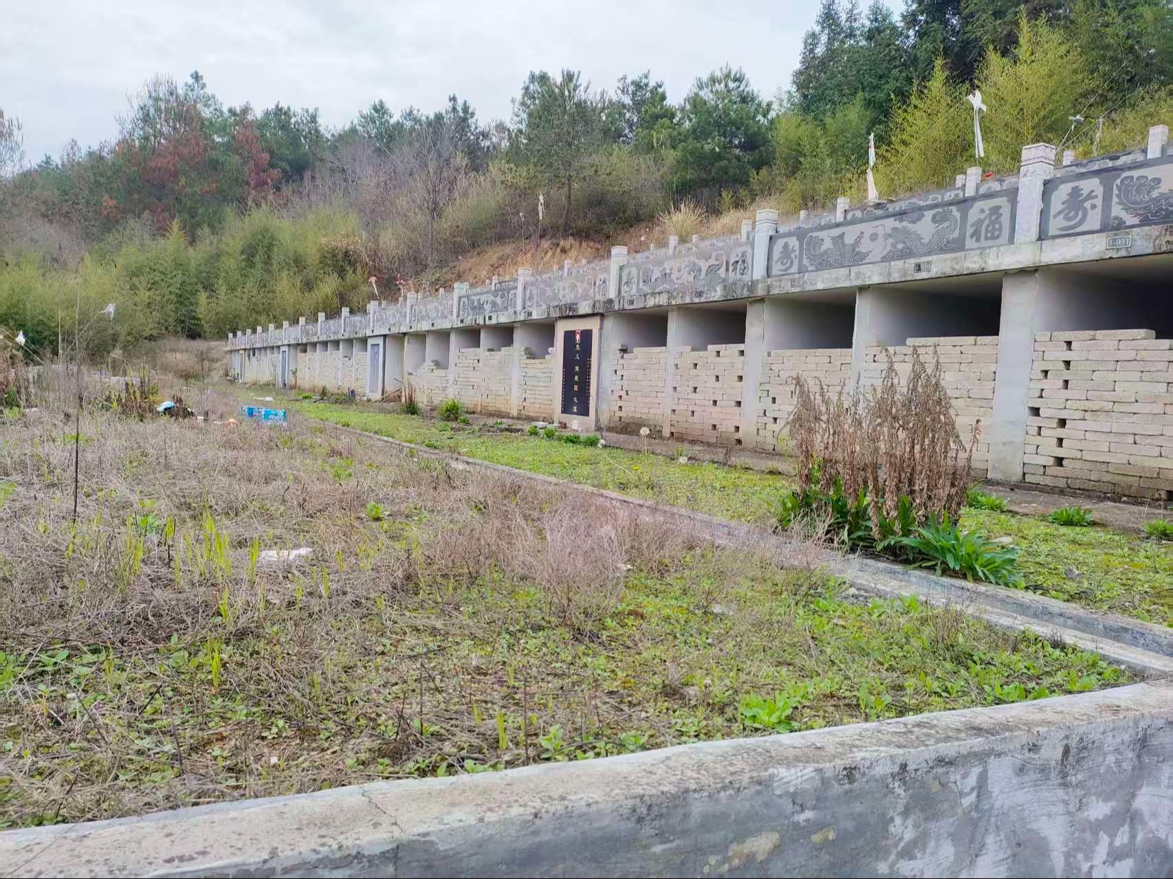 福寿园公墓园区图片