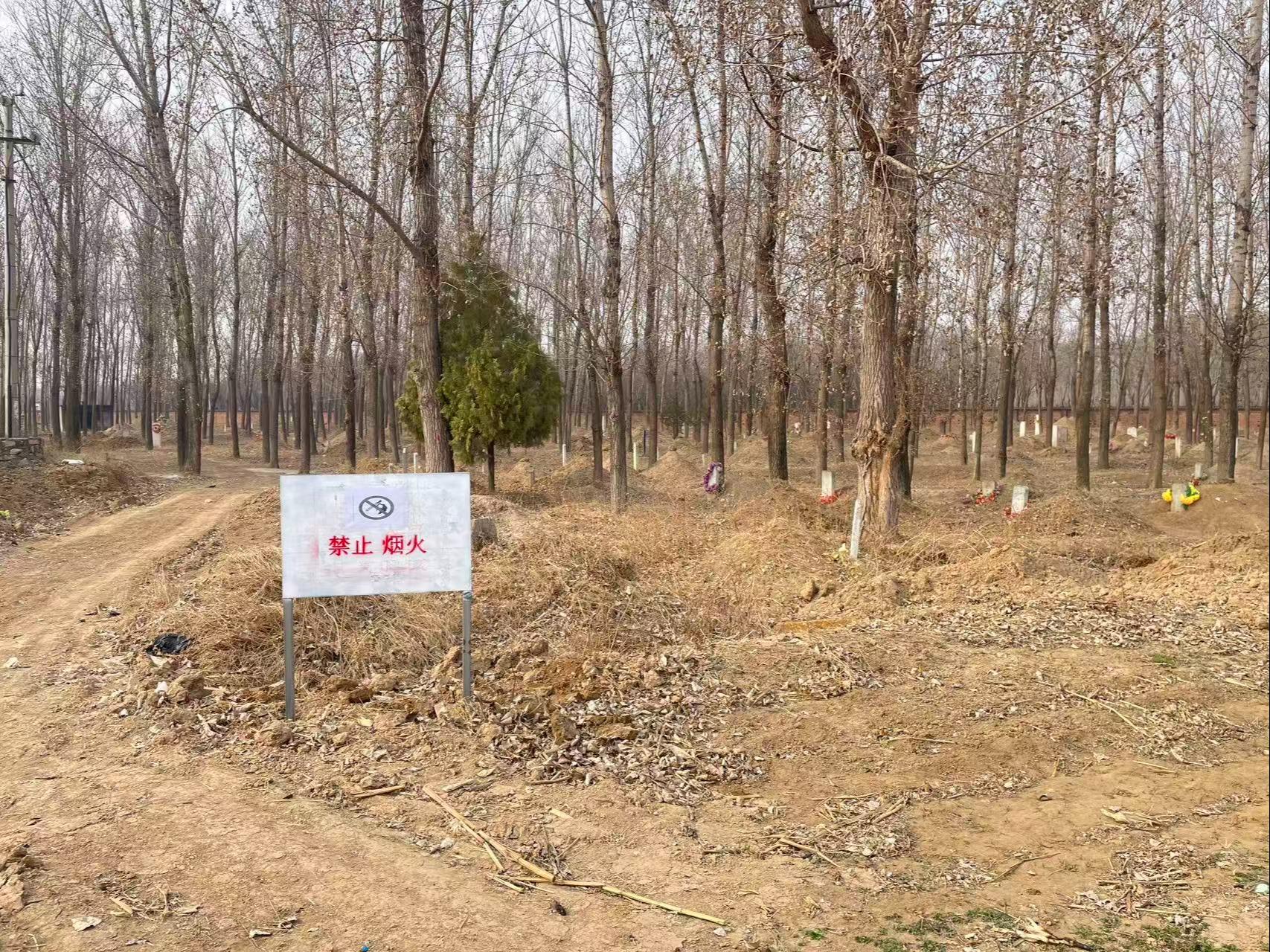 北京市顺义区木林镇后王各庄村公益性公墓园区图片