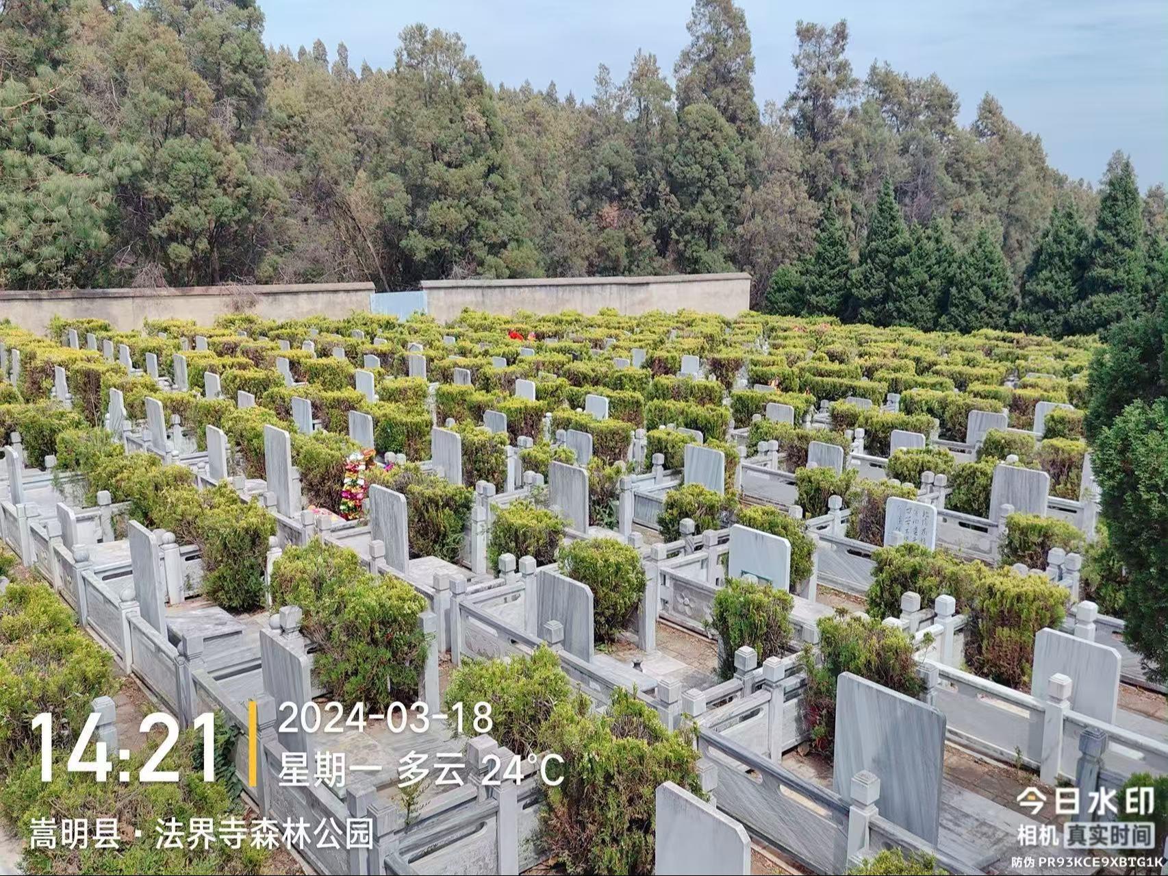 嵩明县灵云山公墓园区图片
