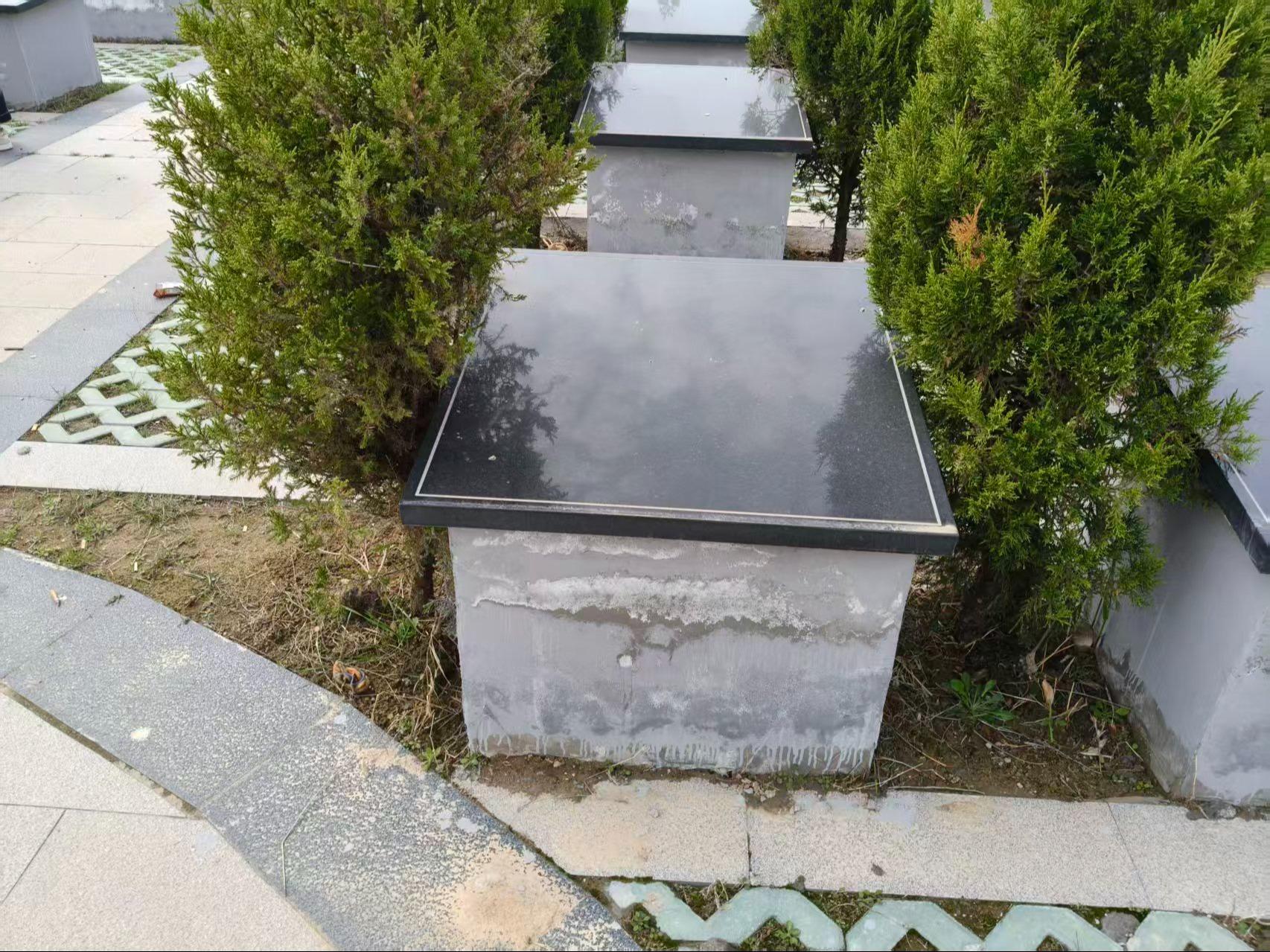 城关镇公墓园区图片
