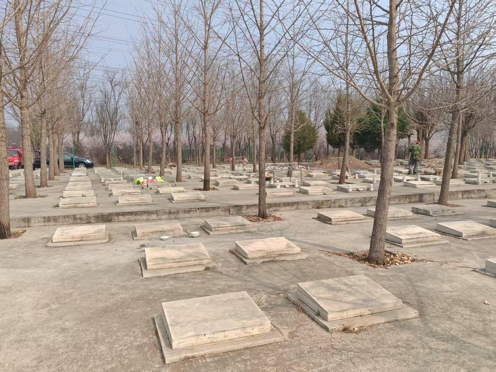 小高丽营村公墓园区图片