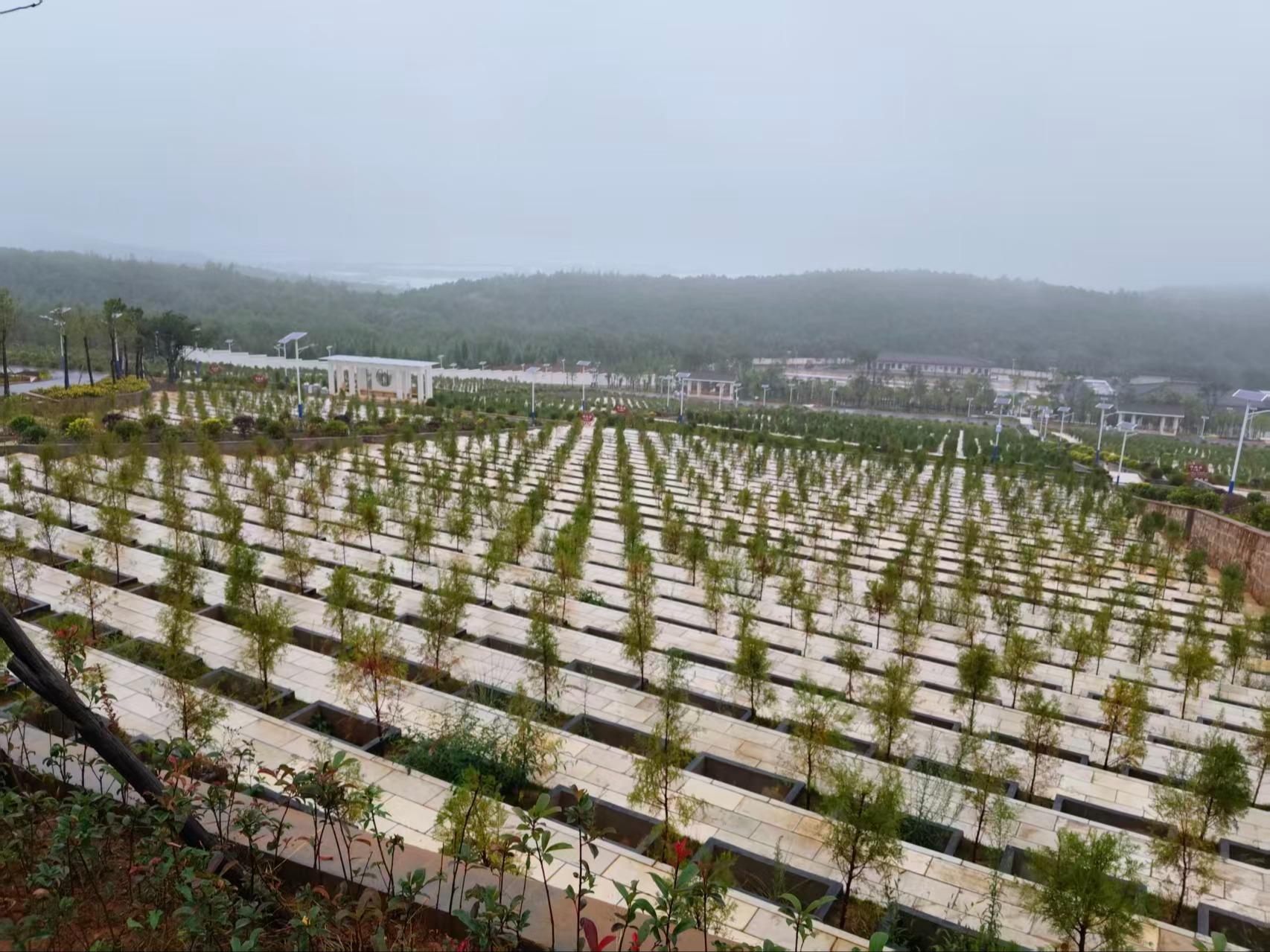 曲靖市中心城区马龙城市公益性公墓园区图片