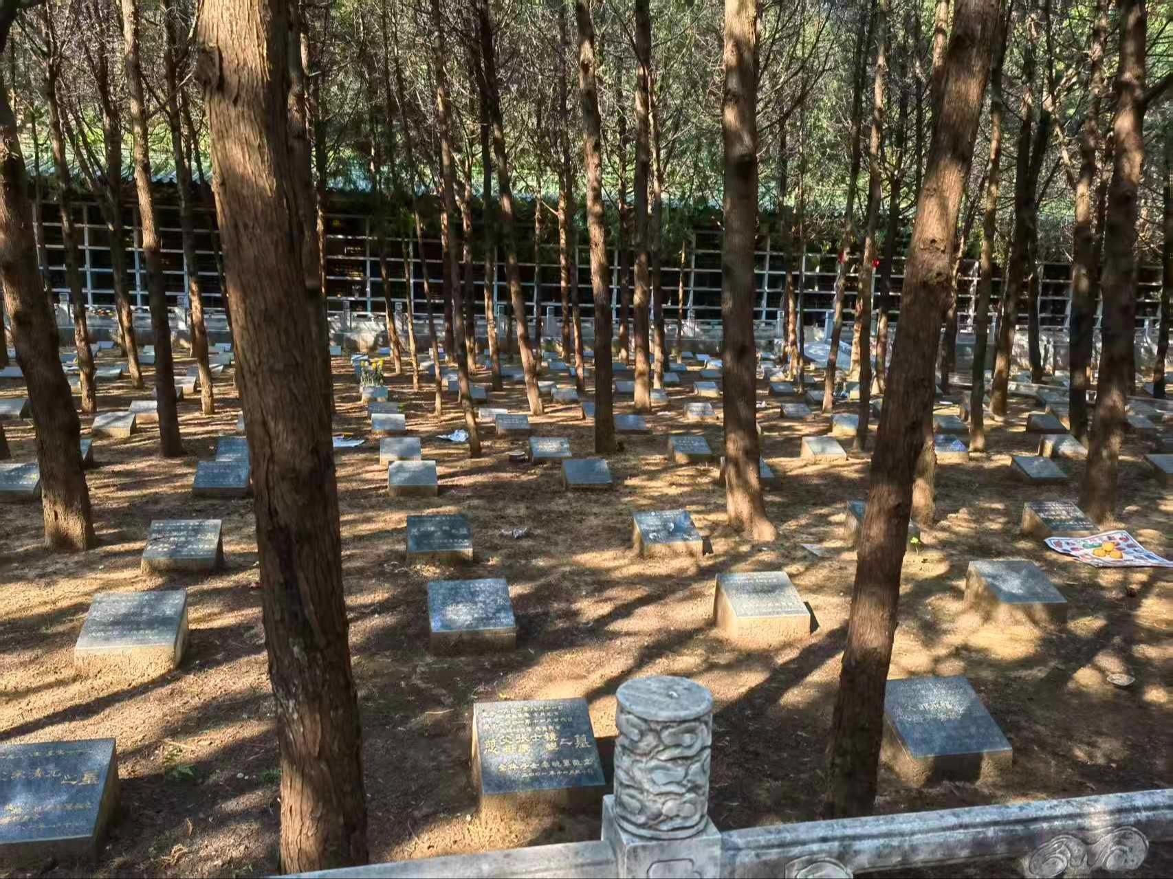 北京市海淀西山骨灰林园区图片