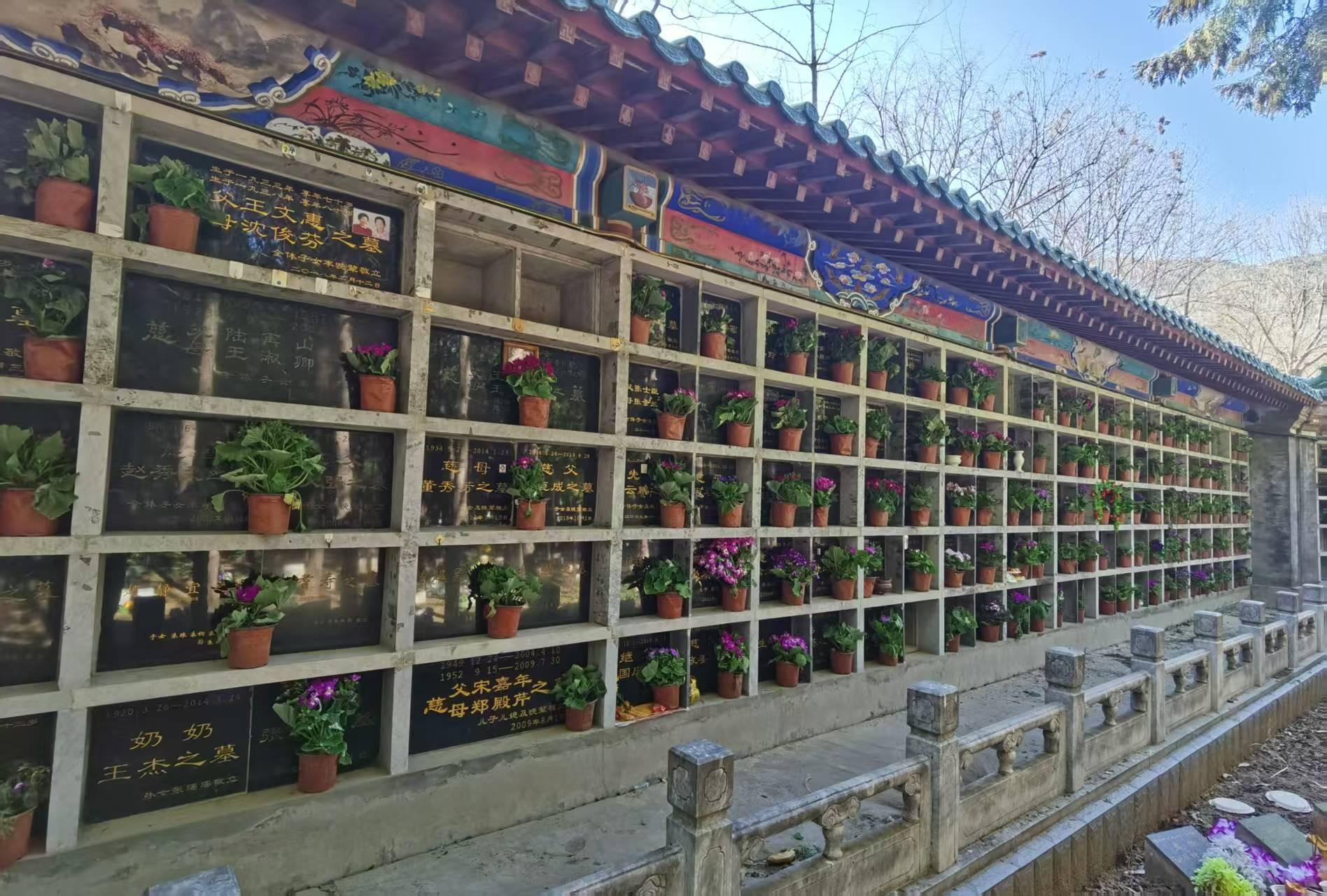 北京市海淀西山骨灰林园区图片