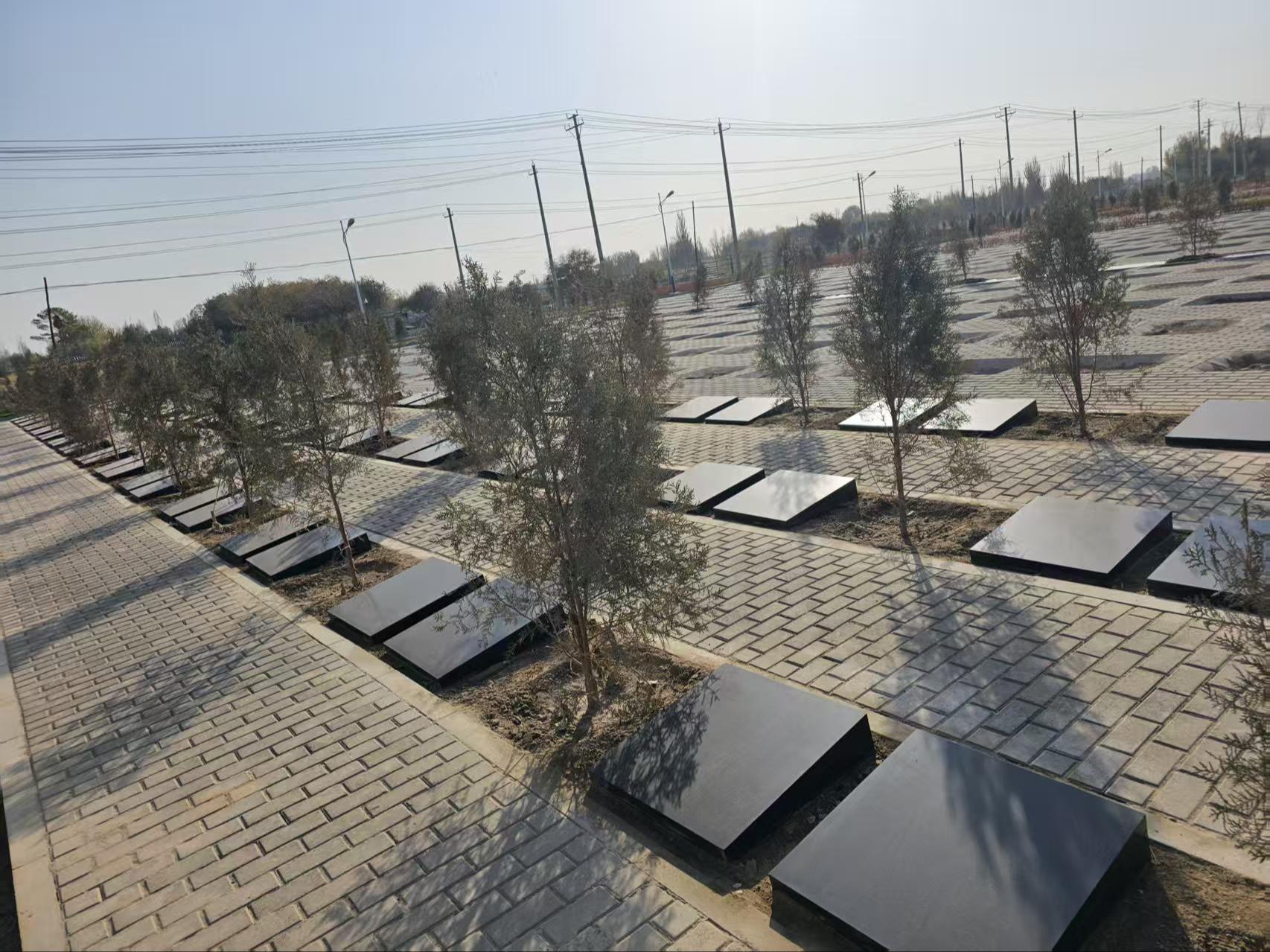 嘉峪关市城市公益性公墓园区图片