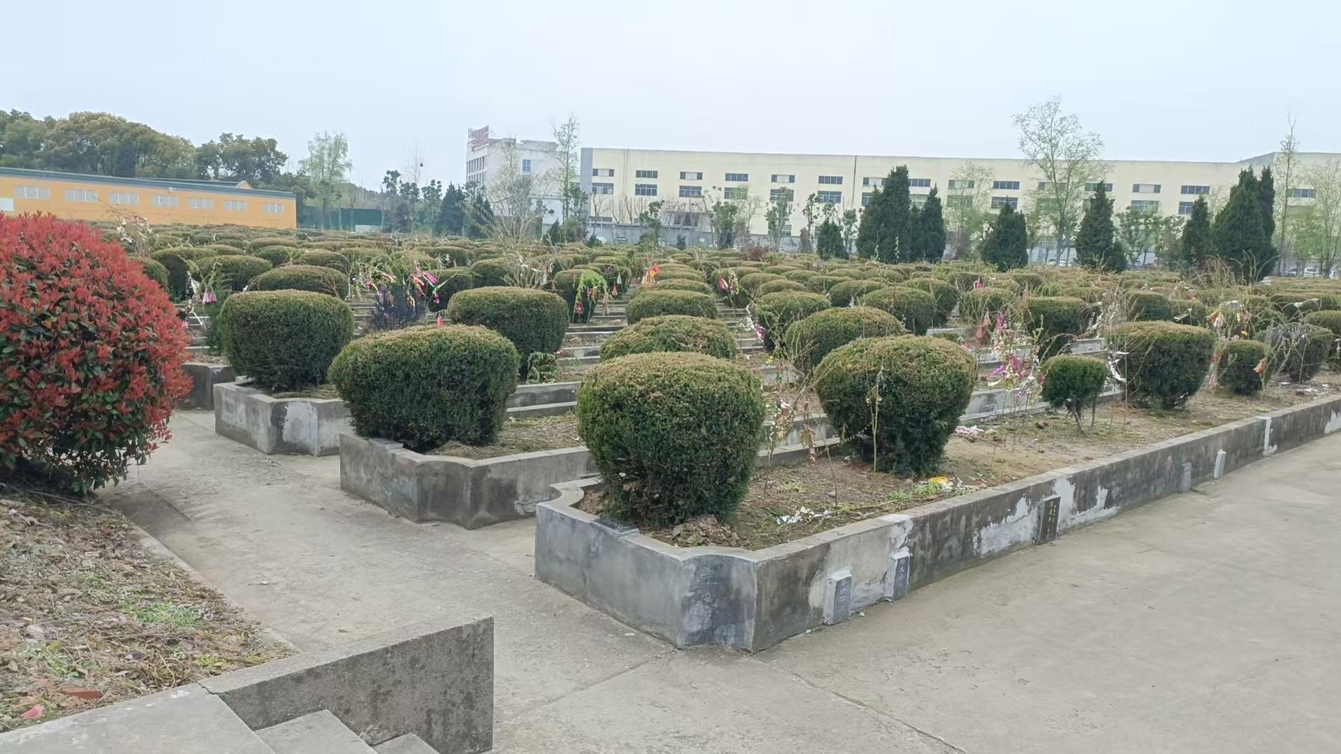 无锡市惠山区堰桥街道西漳安息堂园区图片