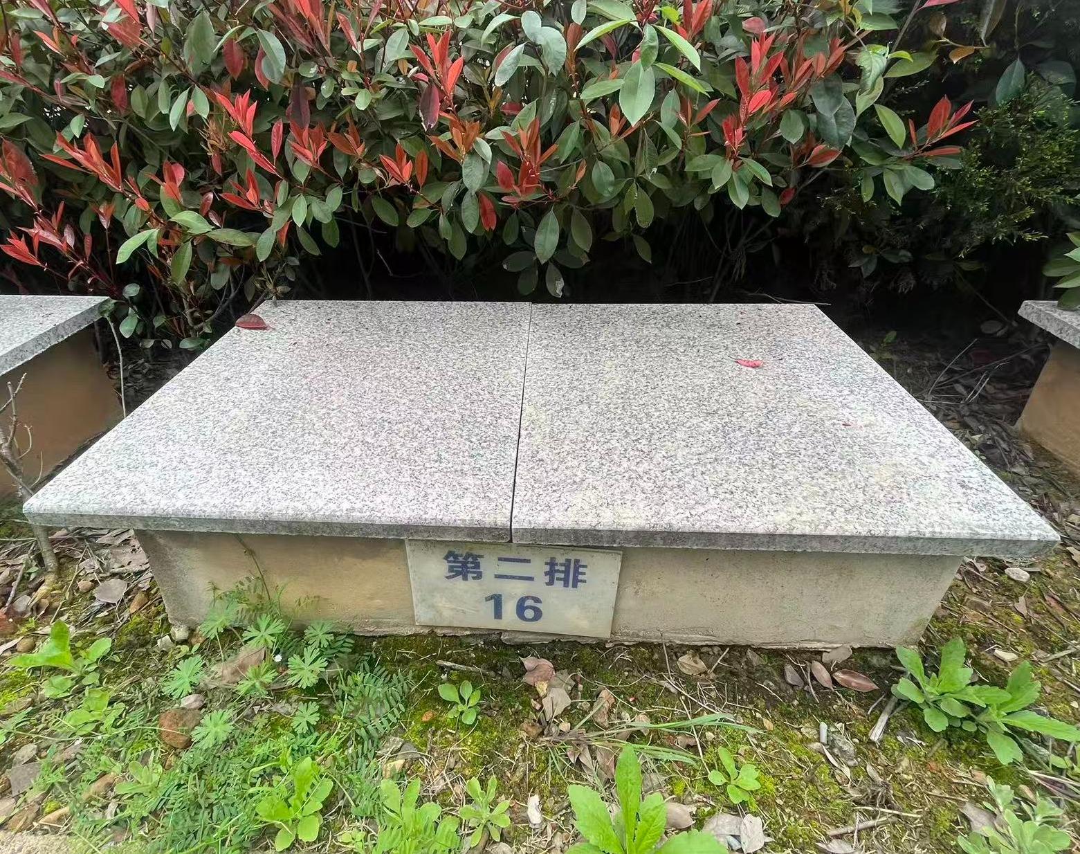 虎形山公墓园区图片
