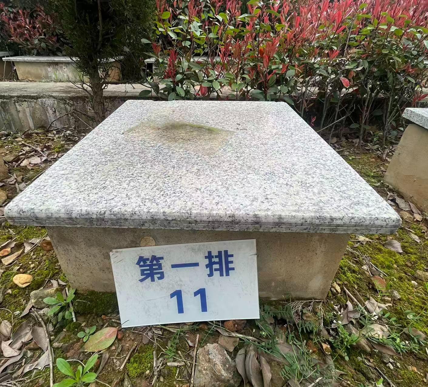 虎形山公墓园区图片