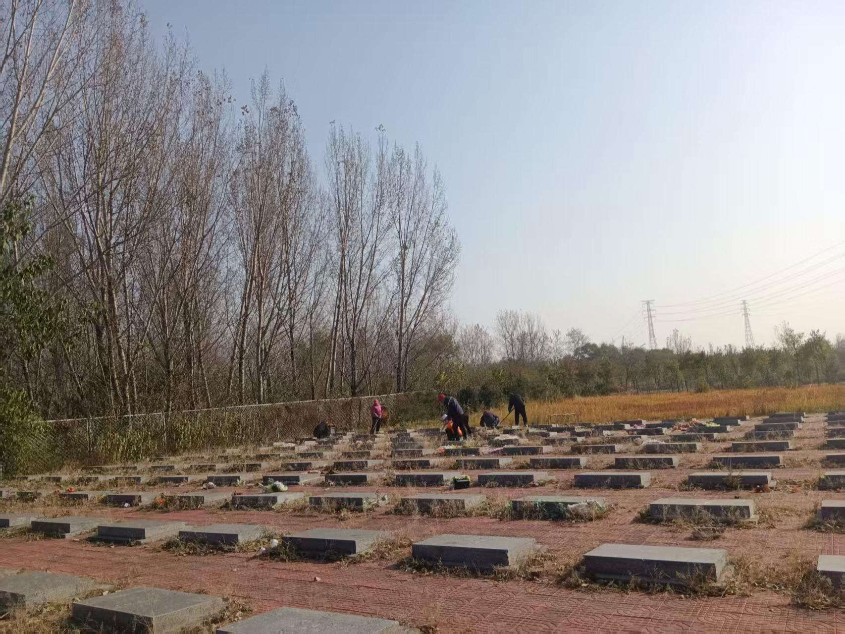 东江头村公益性公墓园区图片