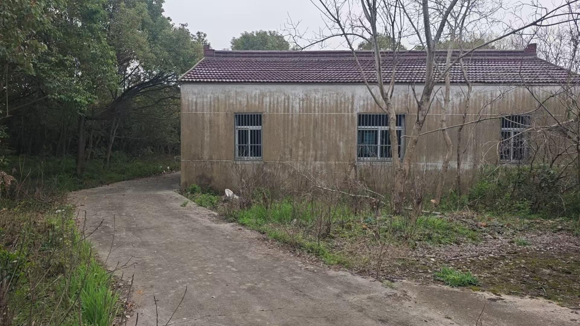 新屋村段庄灵堂
