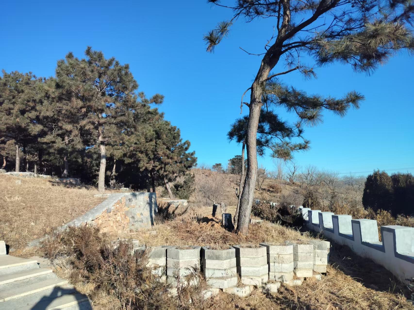 迁西县长青陵园园区图片