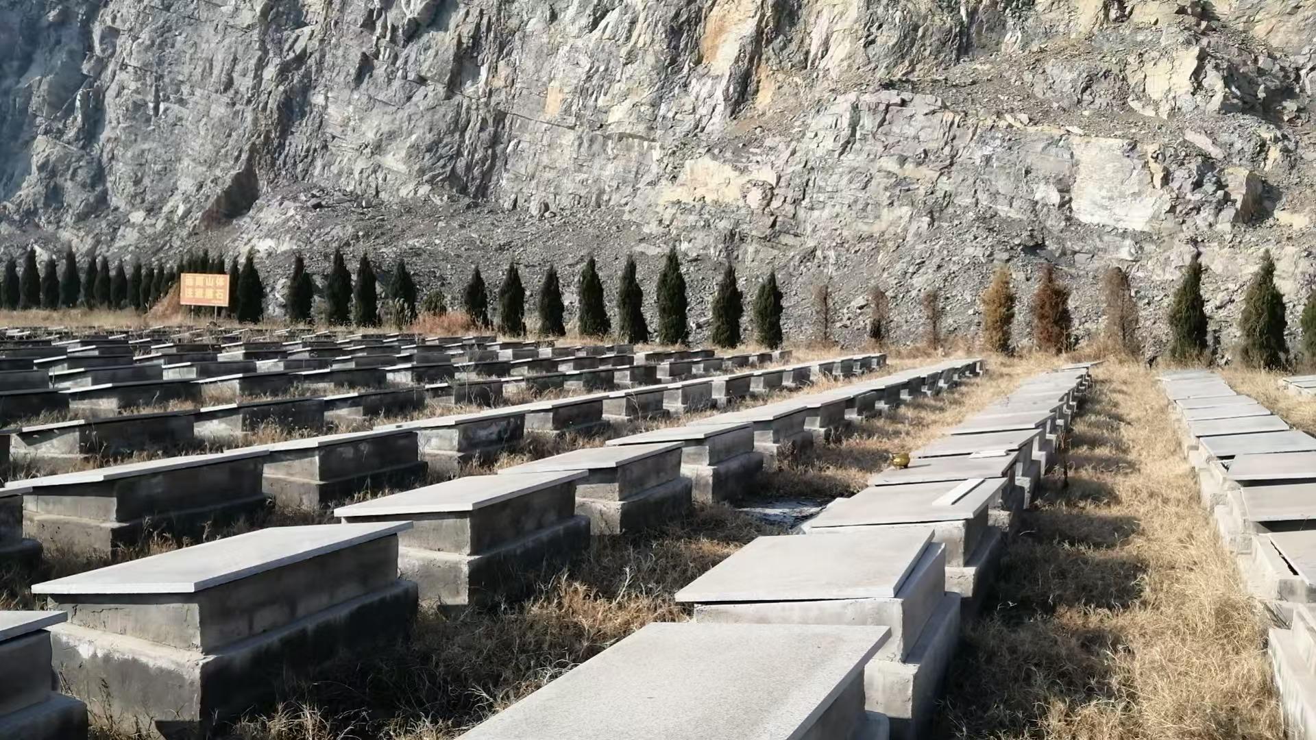 朔里镇程蒋山公墓园区图片