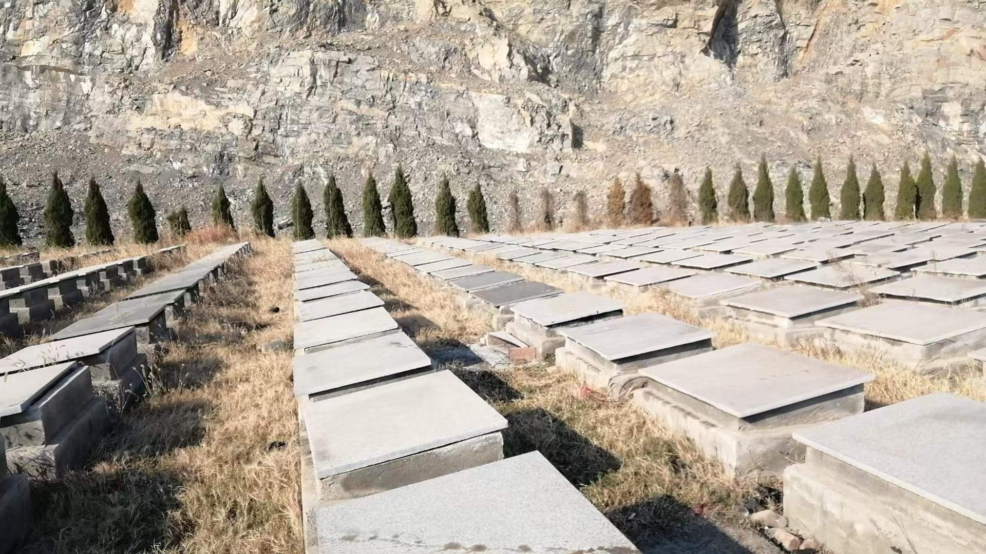 朔里镇程蒋山公墓园区图片