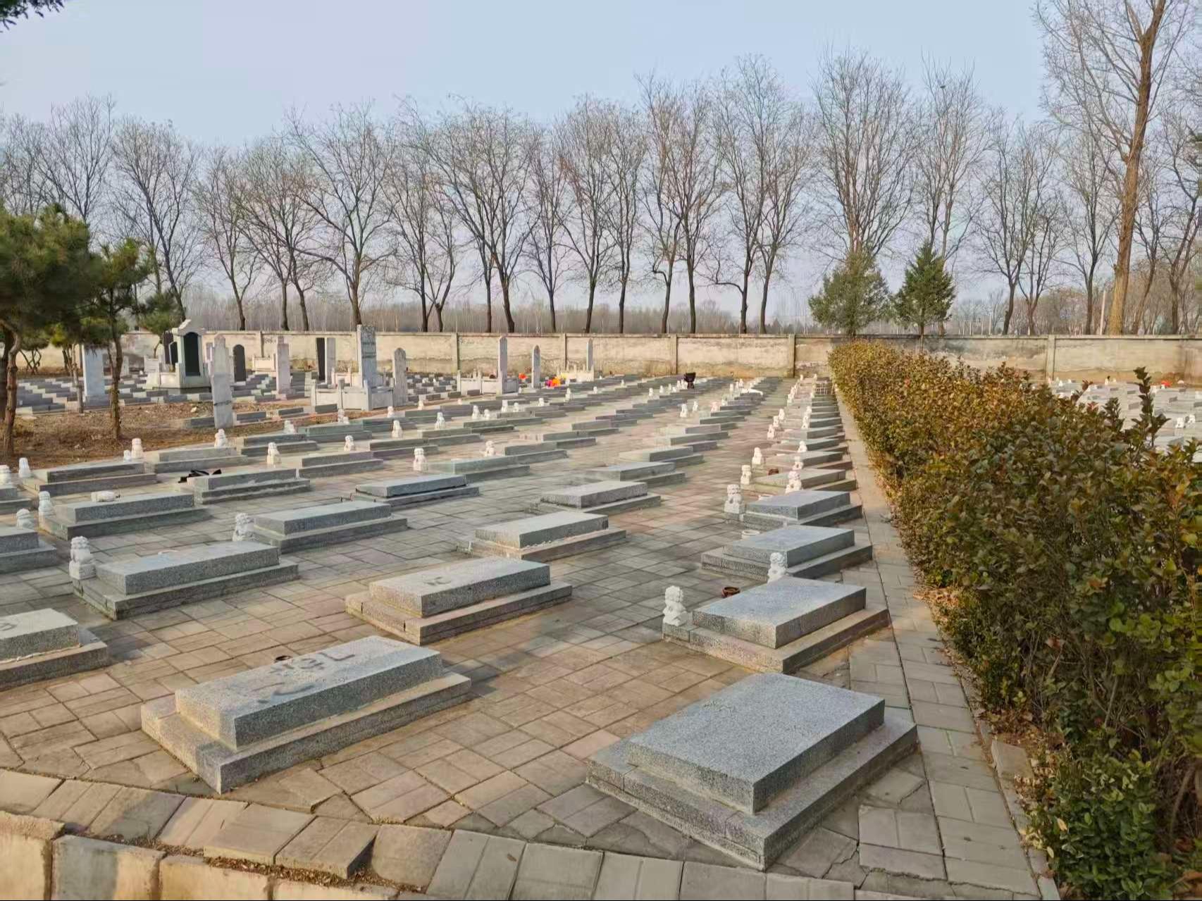 王泮庄村公墓园区图片