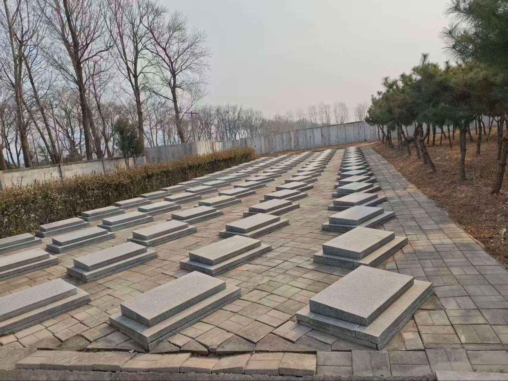 王泮庄村公墓园区图片