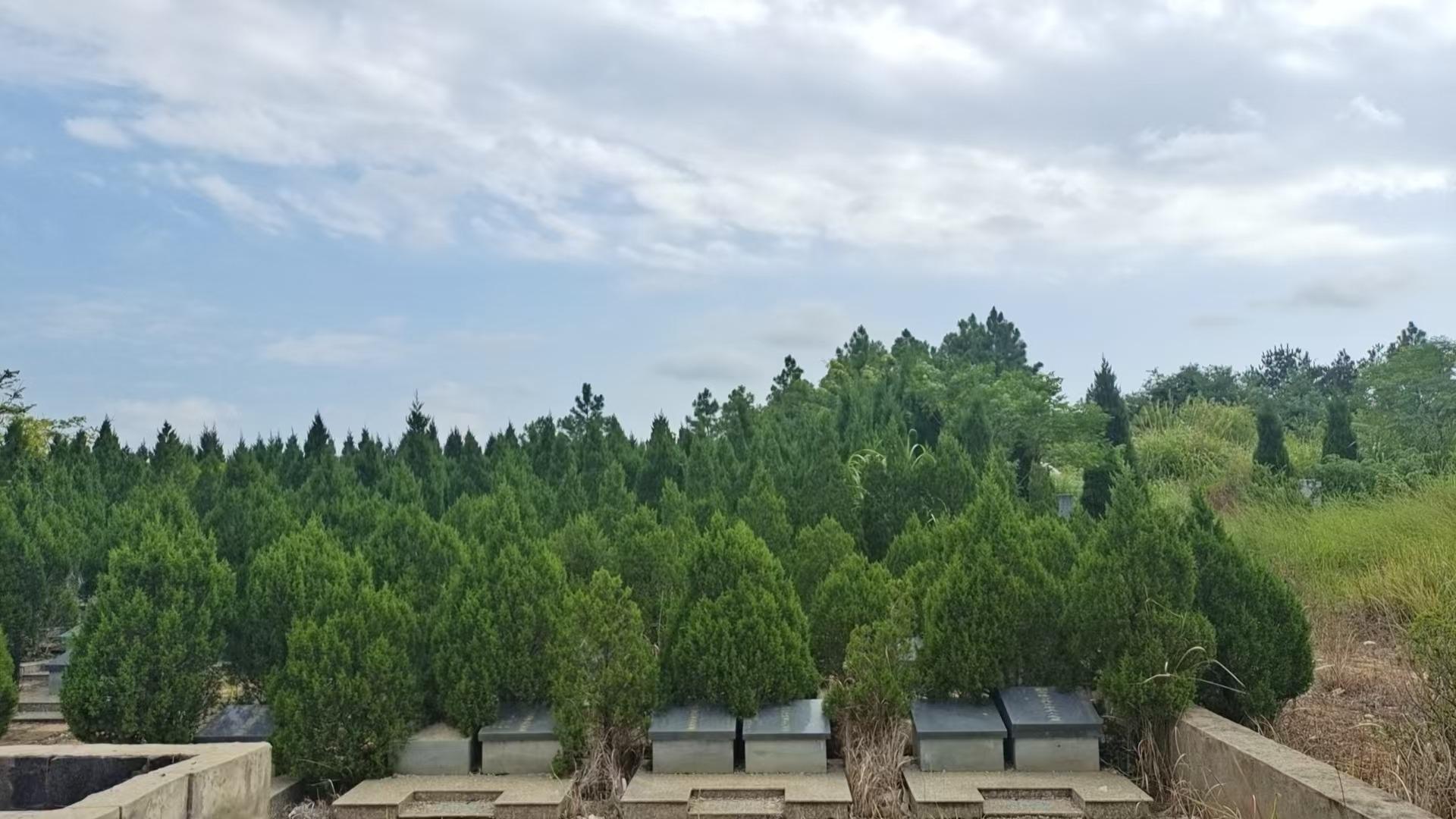 怀宁县秀山乡公益性公墓园区图片
