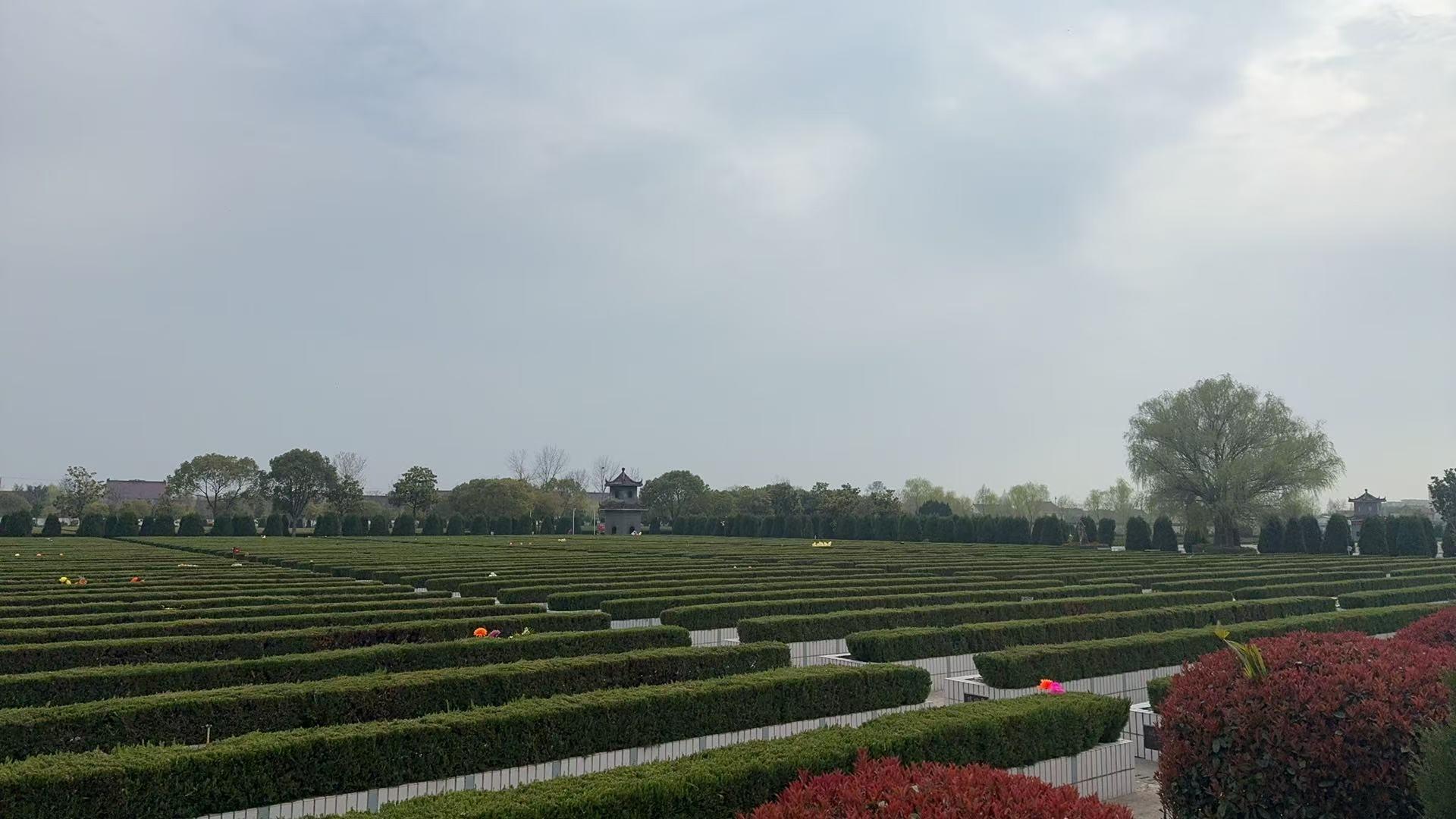 如城街道公益生态林园区图片