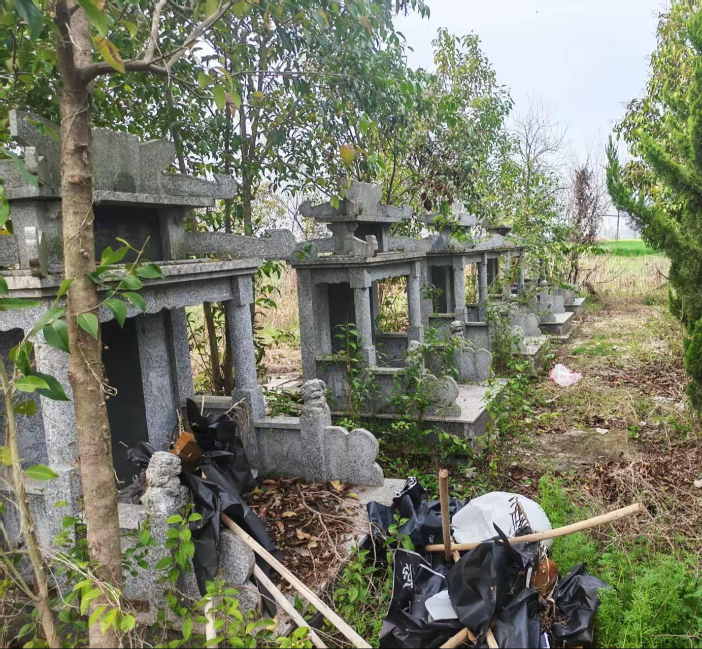 申集镇大董村公益性公墓园区图片