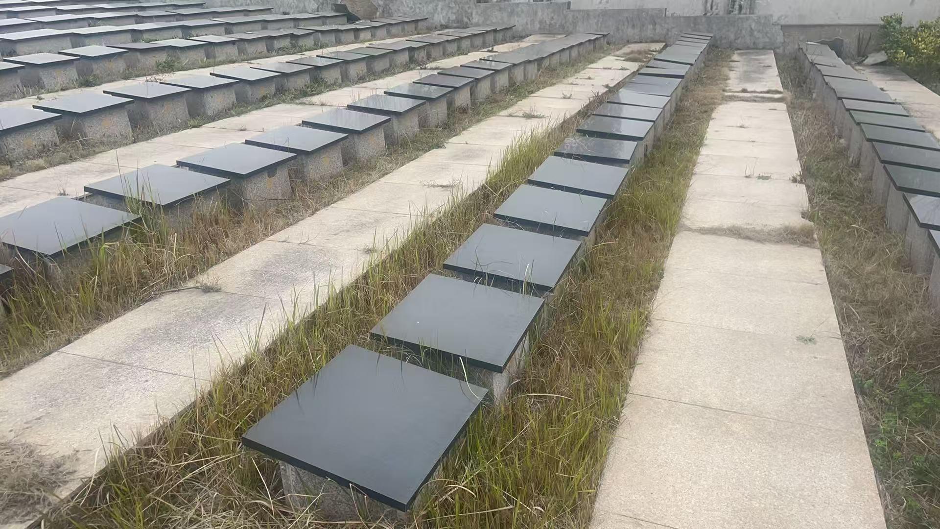 无为市公益性公墓园区图片