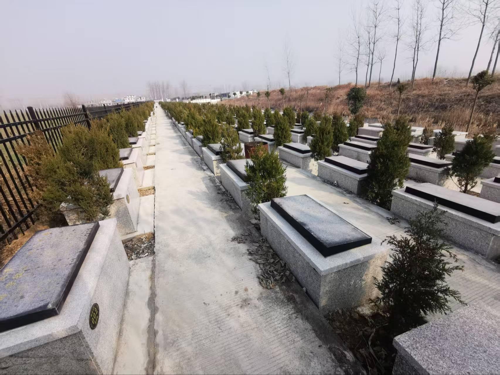灰古镇公益性公墓园区图片