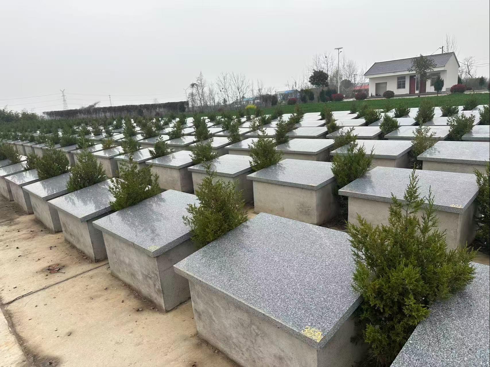 岔路镇草楼村公益性公墓园区图片