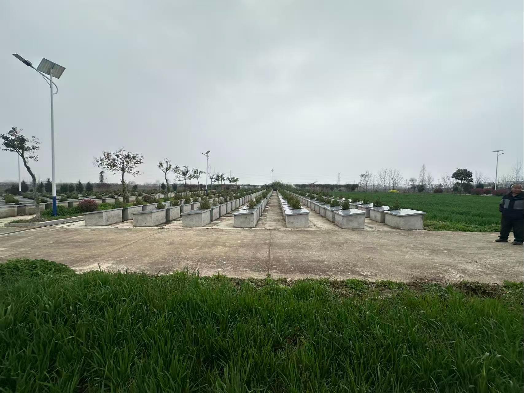岔路镇草楼村公益性公墓园区图片