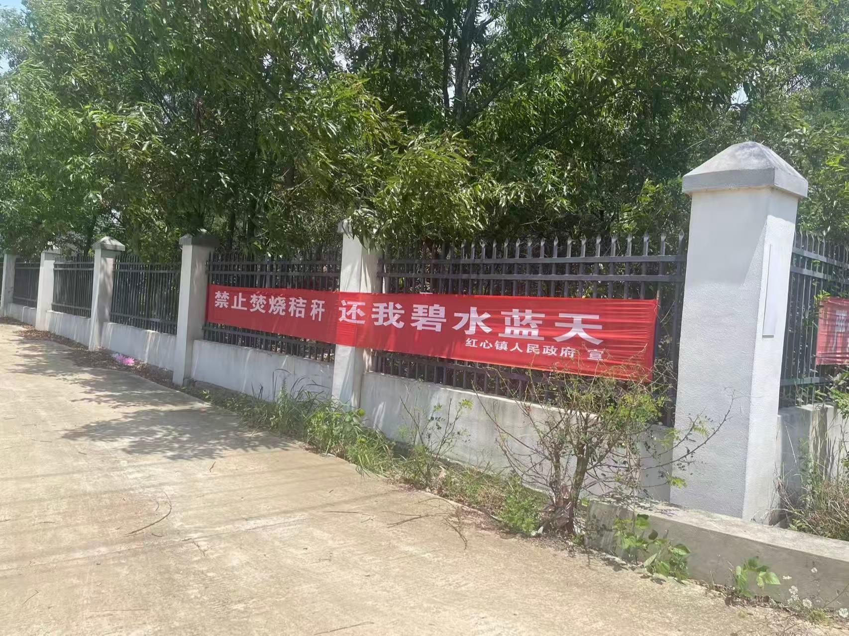 凤阳县红心镇杨山公墓园区图片
