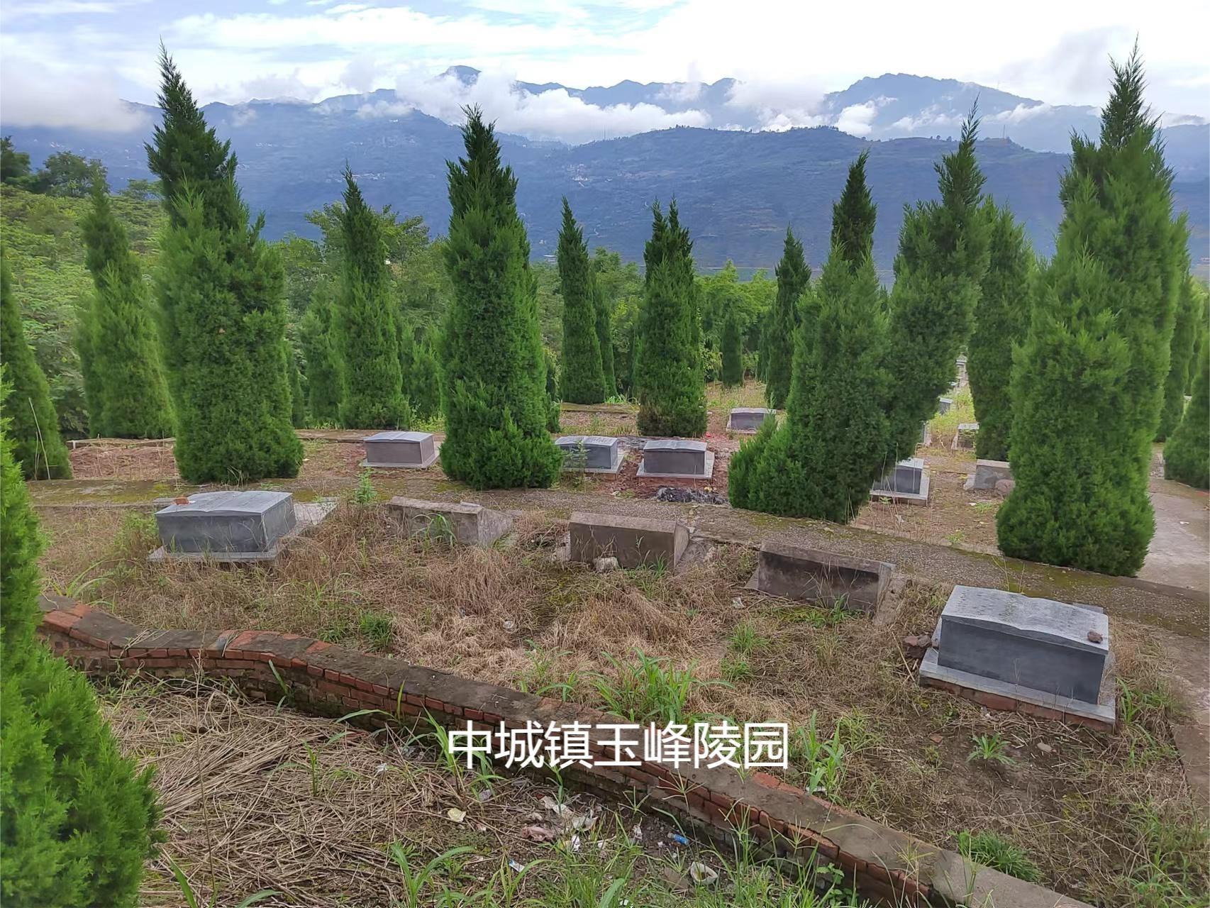 绥江县玉峰陵园园区图片