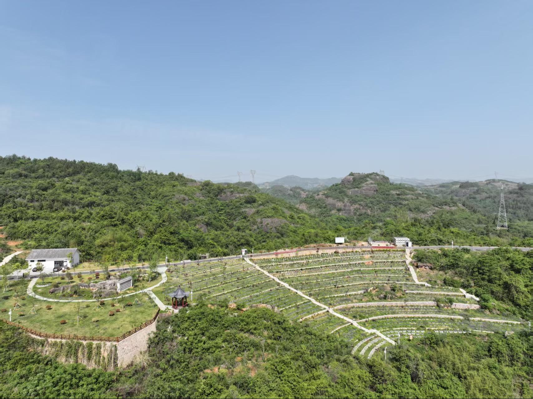 宜都市红花套镇尖山生命纪念园园区图片