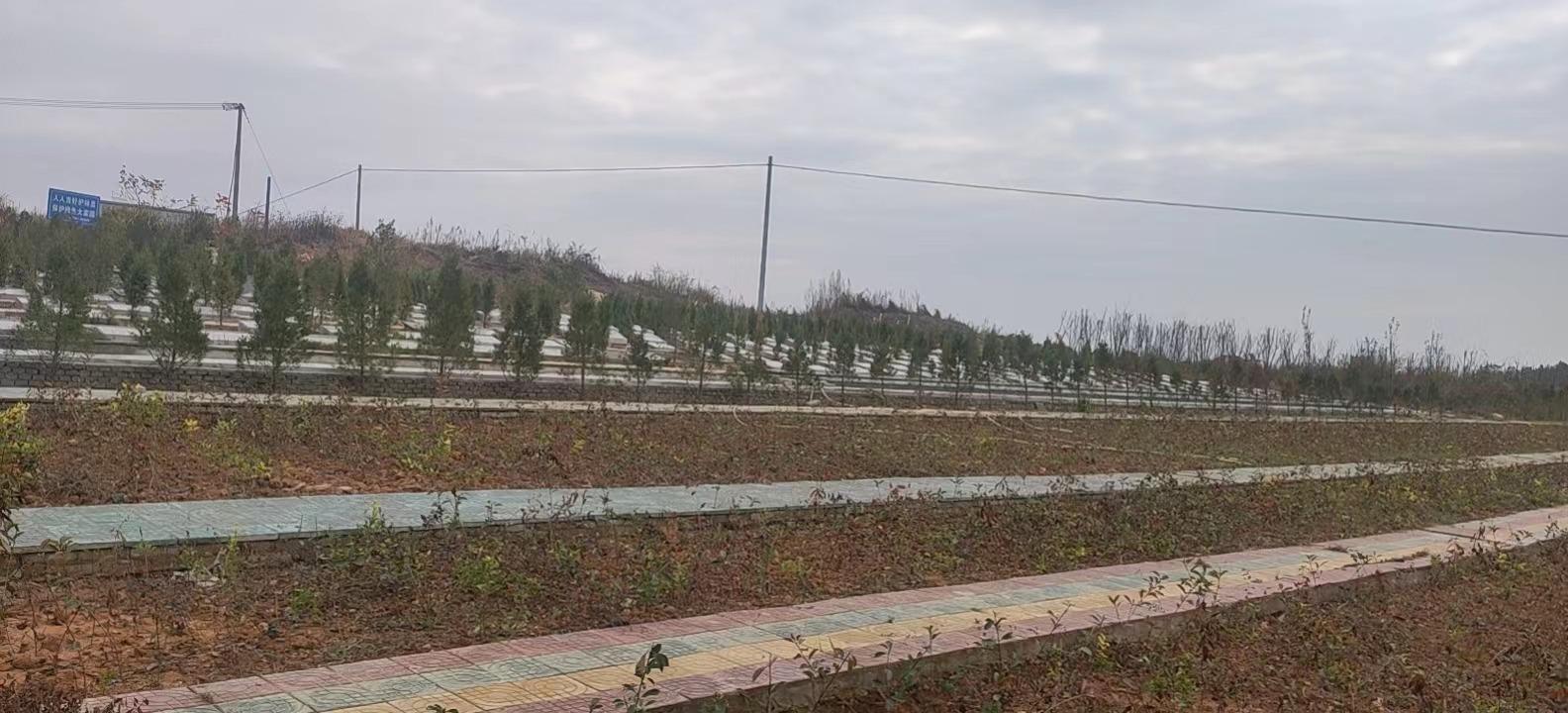 怀宁县公岭镇公益性公墓