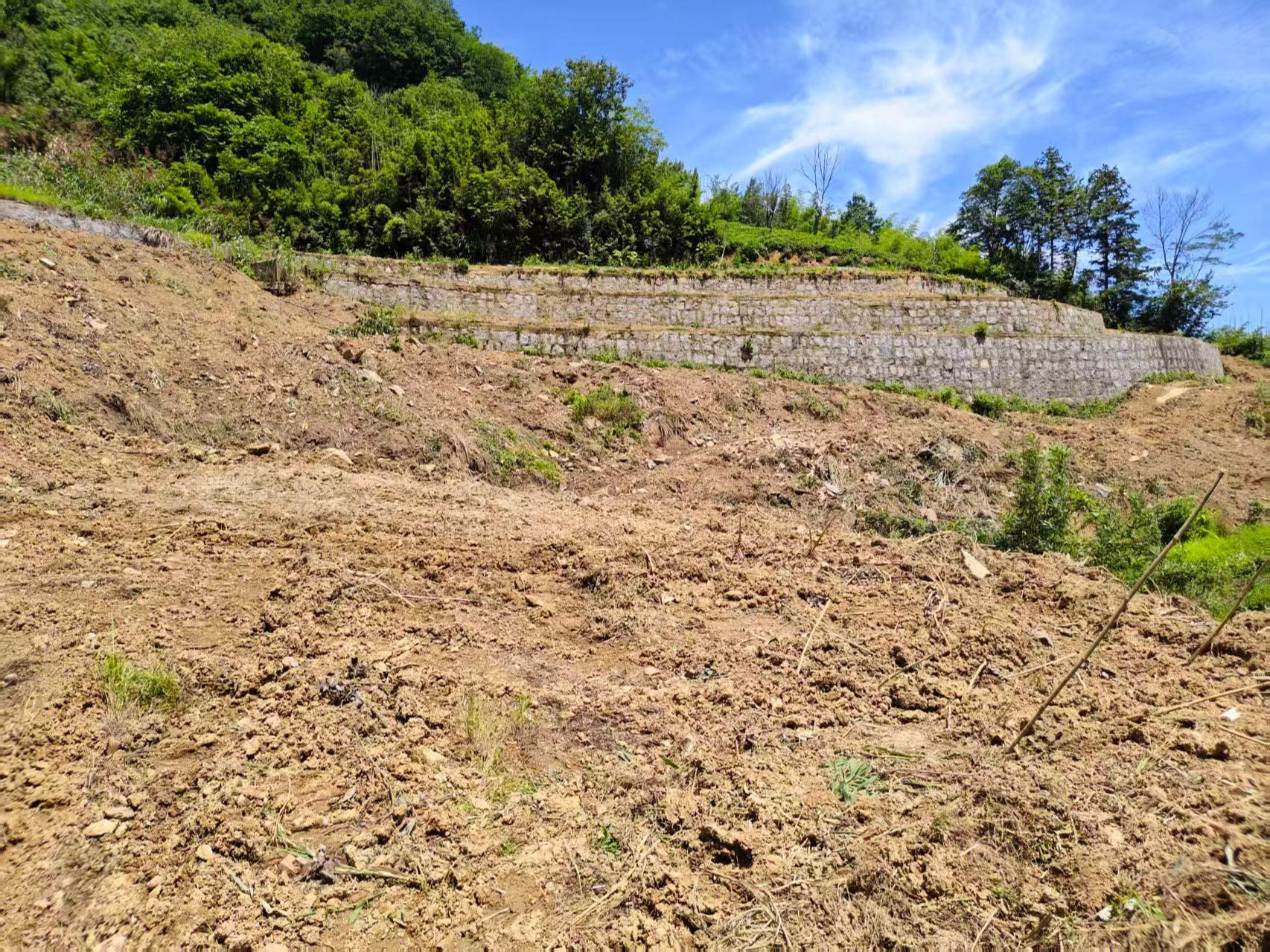 岳西县姚河乡公益性公墓园区图片
