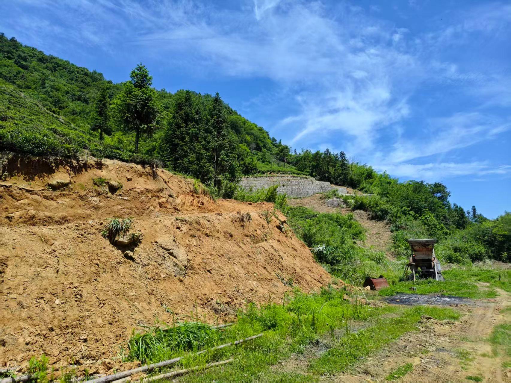 岳西县姚河乡公益性公墓园区图片