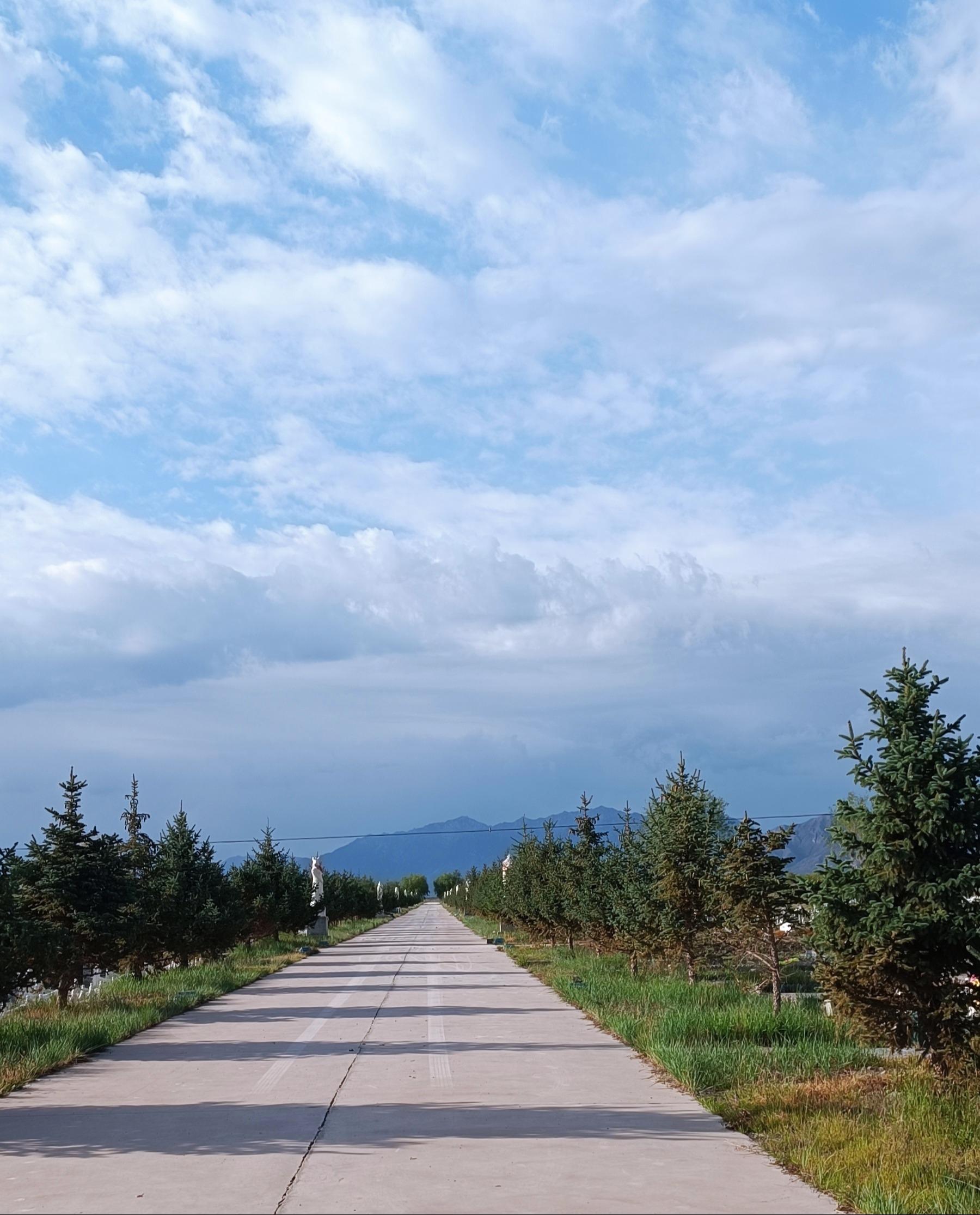 张掖市九龙山公墓有限公司园区图片