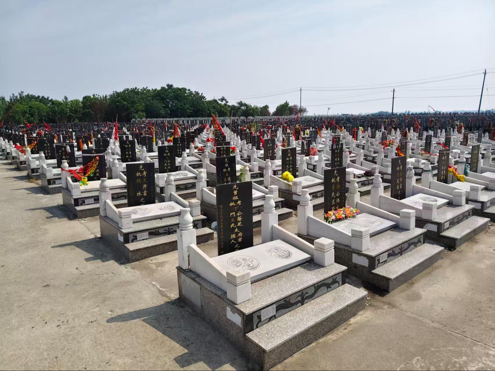 沙沟镇公益性公墓永安园园区图片