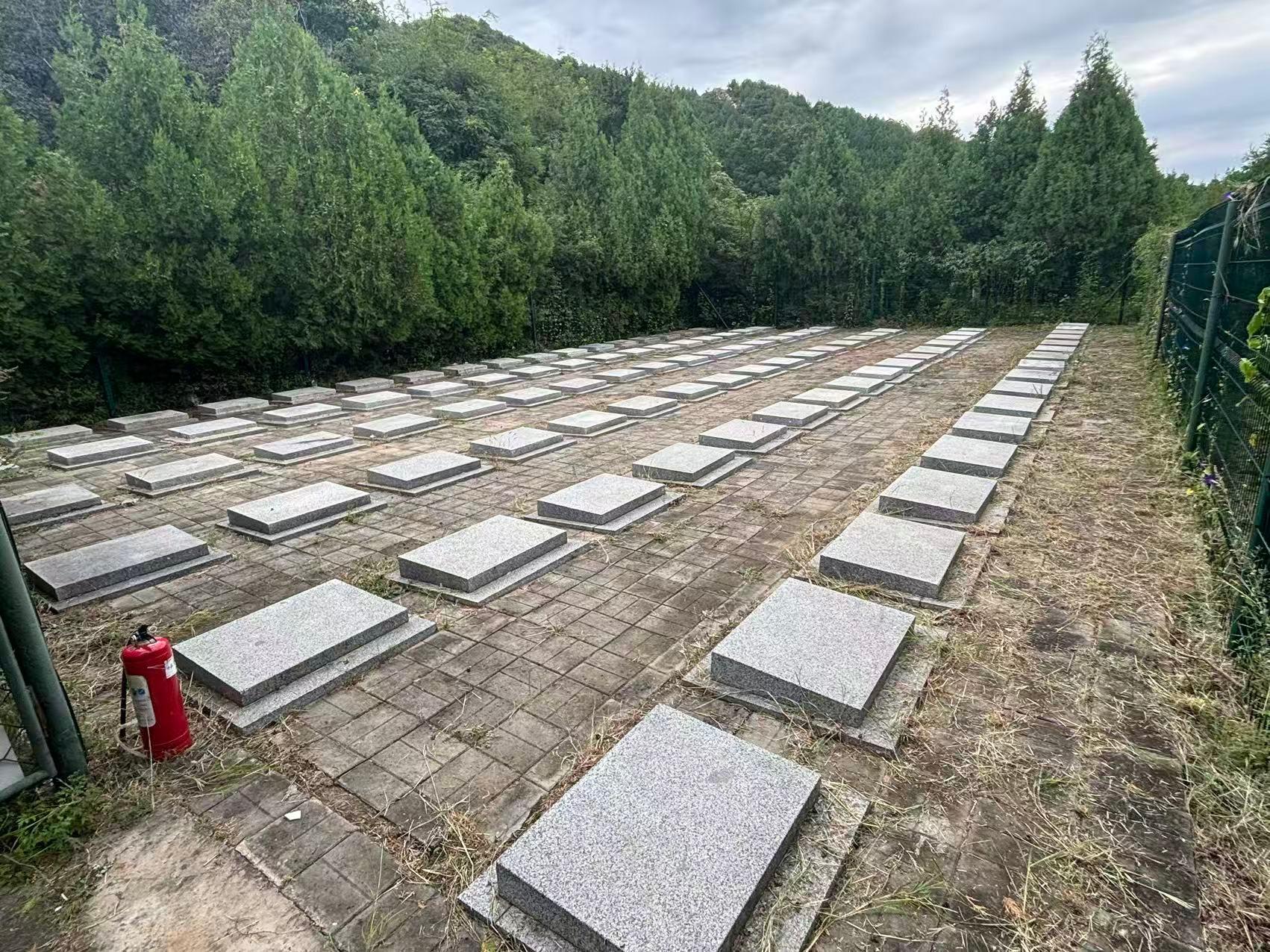 小三渠村公益性公墓园区图片
