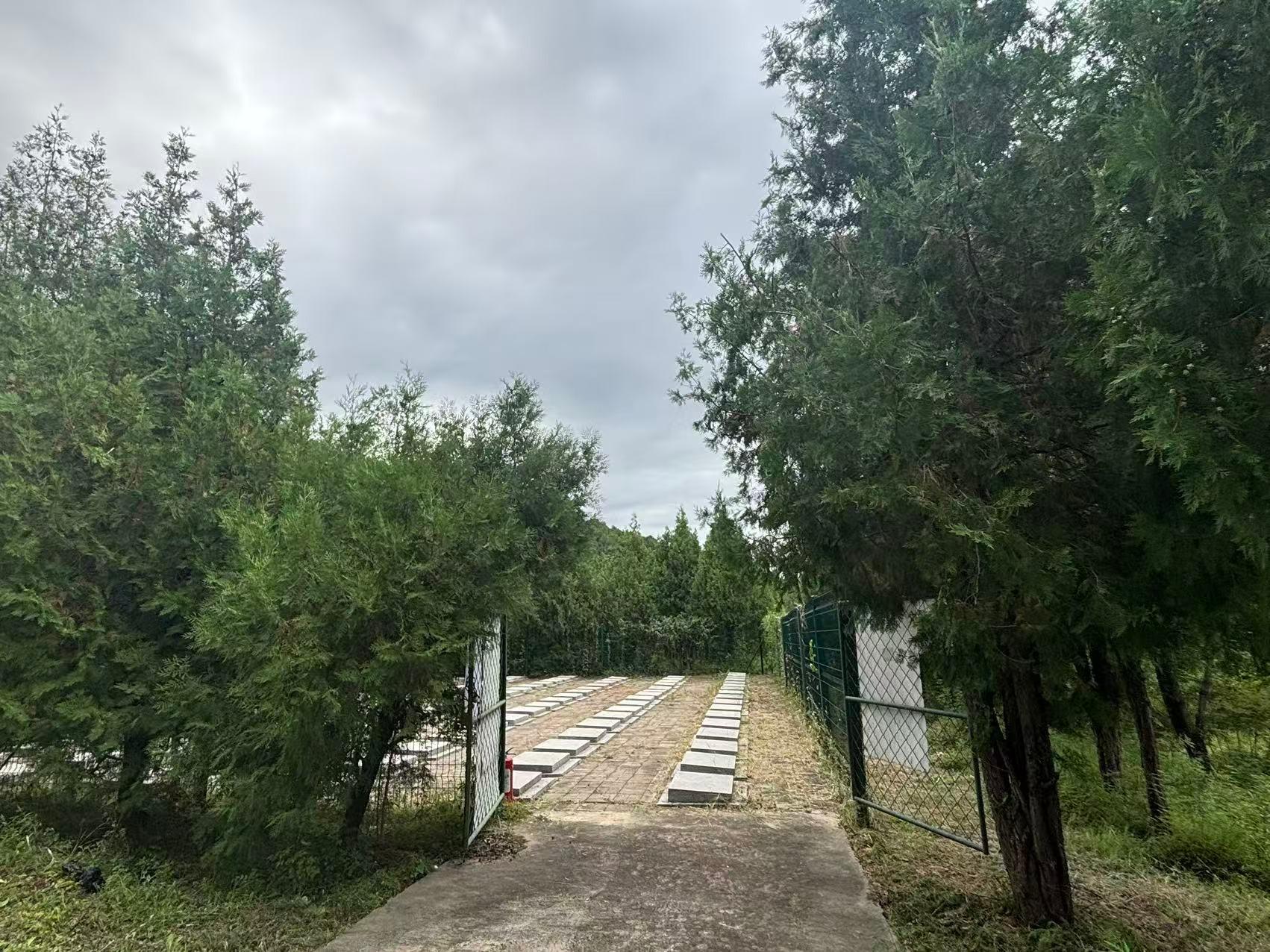 小三渠村公益性公墓园区图片