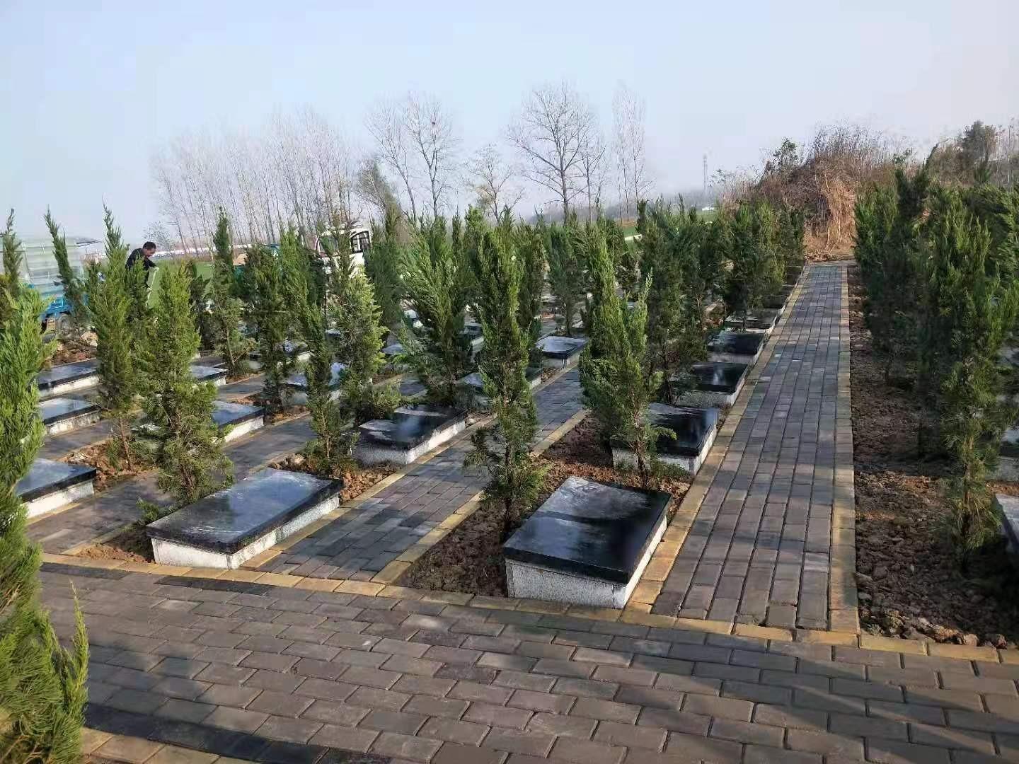 涡阳县标里镇公益性公墓园区图片